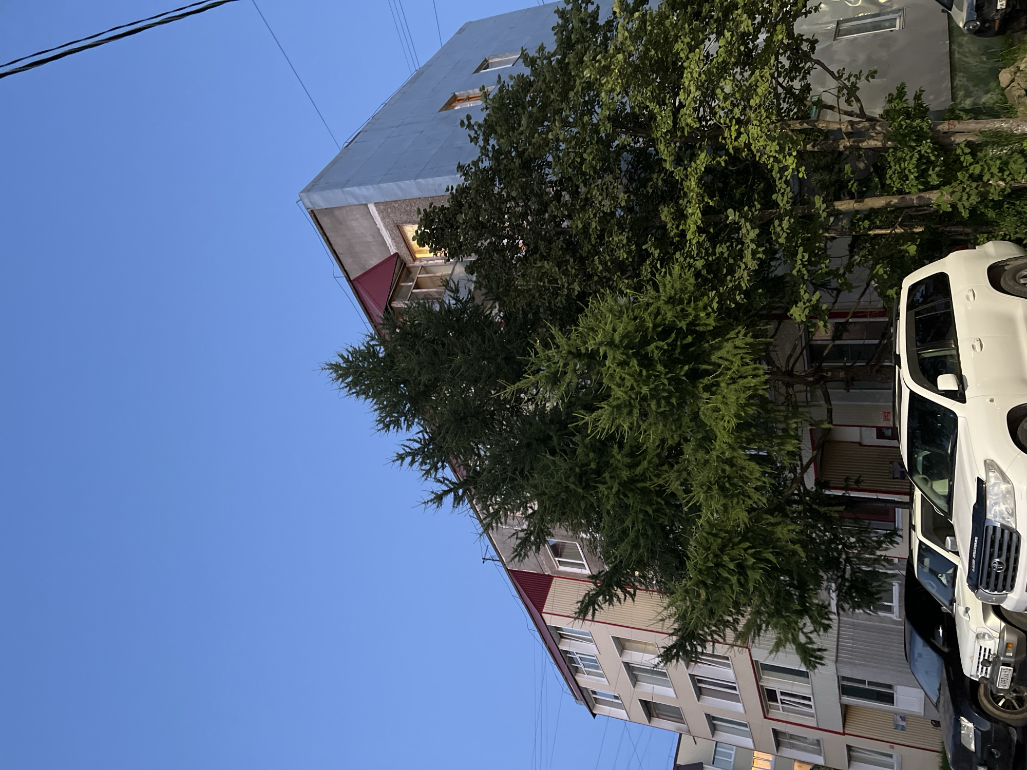 This image depicts an apartment building in Petropavlovsk-Kamchatsky, Russia. The building is multi-story with a light-colored facade on the left side, featuring multiple windows. The right side of the building has a blue-colored facade and also has windows. A red roof is visible on a section of the building. In front of the building, several cars are parked, including a black SUV and two white SUVs, one of which is a Toyota Land Cruiser. Evergreen trees and deciduous trees with green foliage are present in the foreground, partially obscuring the lower floors of the building and the parked cars. The sky is clear and blue, indicating daylight or twilight. Power lines are visible stretching across the top of the image. The scene appears to be residential, typical of an urban or suburban environment.
