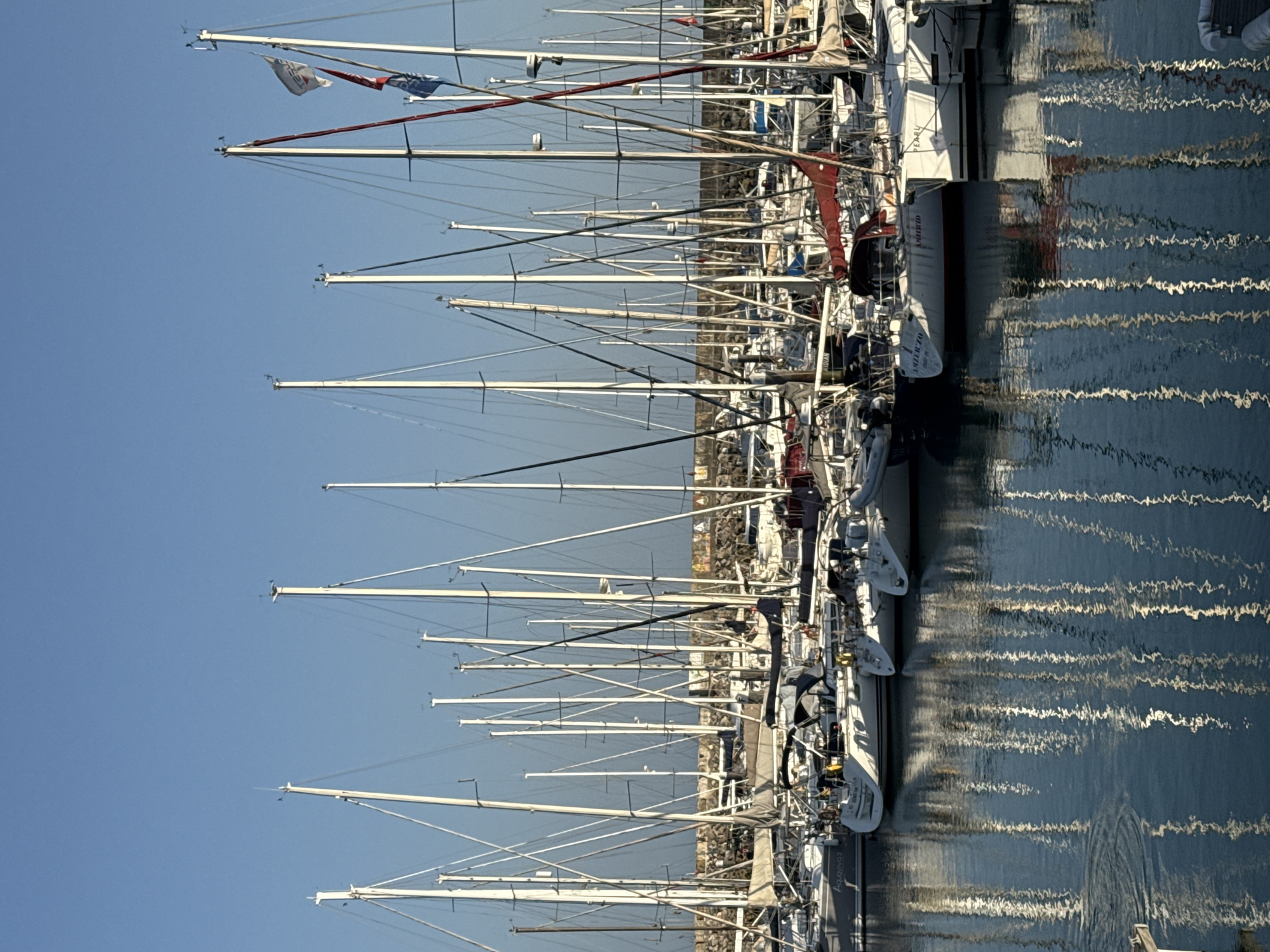 The image shows a marina with numerous sailboats docked. The boats are mostly white with tall masts, some with sails partially furled. The sky is clear and blue. The water is calm, reflecting the boats and their masts. In the background, there is a stone breakwater. The scene is static, with no people or activity visible on the boats. The location is identified as the marina in Oeiras, Portugal, based on the presence of the marina and the context provided. The overall impression is one of a peaceful, well-maintained harbor.