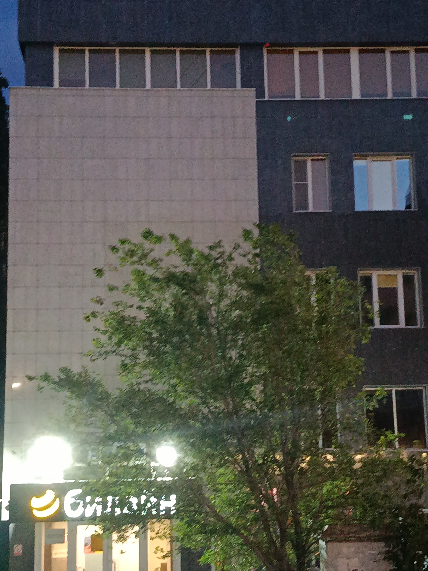 The image shows a nighttime exterior view of a modern, multi-story building in Saratov, Russia. The building has a dark gray facade with multiple windows, some of which are lit from within. A section of the building features a lighter gray, textured facade. A large, leafy tree is prominently positioned in the foreground, partially obscuring the lower floors of the building. A brightly lit sign with yellow and white lettering, featuring a circular yellow logo, is visible on the ground floor. The sign appears to read "Сбер" which is a Russian word, likely a reference to Sberbank. The overall scene suggests an urban commercial area at night.