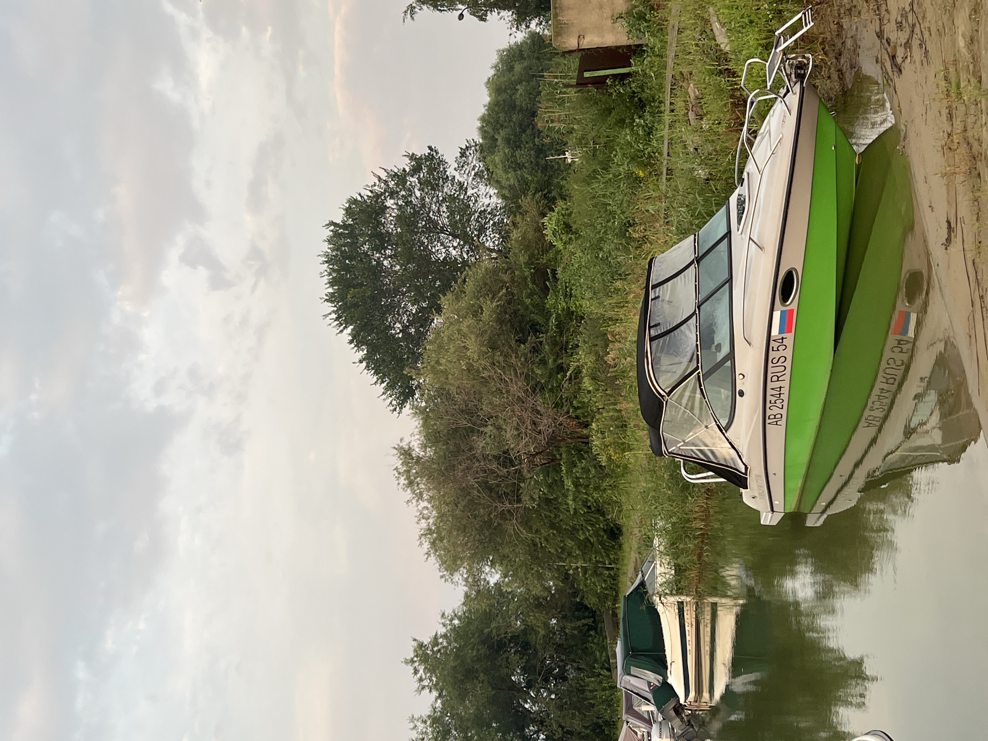 The image depicts a calm body of water with several boats docked along a vegetated shoreline. In the foreground, a white and lime green motorboat with a black canvas canopy is partially submerged, its reflection visible in the water. The boat is labeled with "AB 2544 RUS 54" and a Russian flag. Behind it, further to the left, other boats are docked, some covered with green tarpaulins. The shoreline is dense with green foliage, including trees and tall grasses. In the background, a large tree stands prominently against a cloudy sky. The scene appears to be a marina or a docking area in Novopichugovo, Russia, likely during the daytime given the lighting conditions.