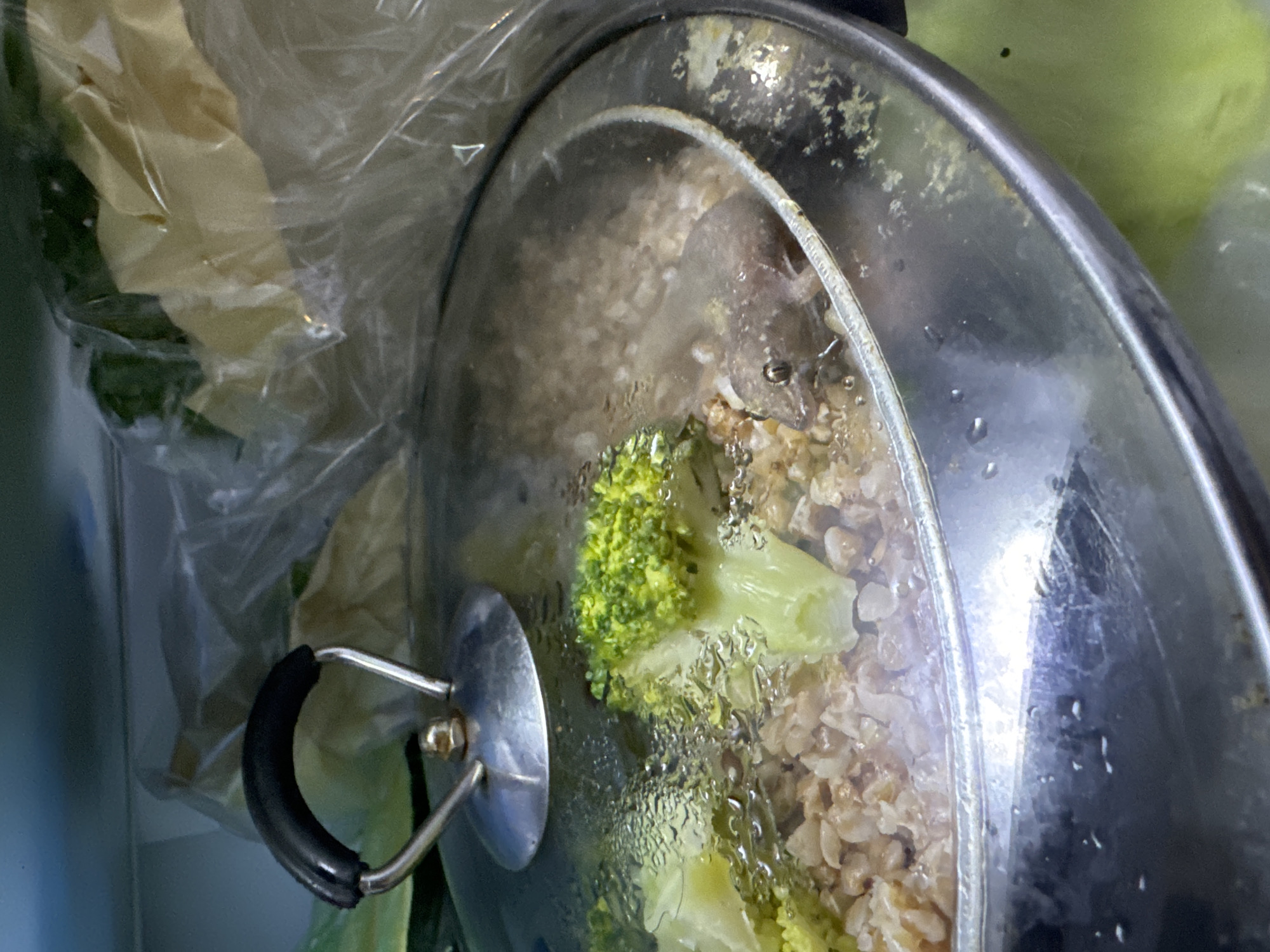 A close-up shot shows a pot with a clear lid, revealing food being cooked inside. The pot is silver with a black handle attached to a metal bracket. Steam condenses on the underside of the lid, indicating that the food is hot and being cooked. Visible within the pot are pieces of broccoli and what appears to be rice or grains. The lid is slightly smudged, and the metal rim of the pot is visible.
In the background, a plastic bag filled with what looks like food items, possibly vegetables, is partially visible. The setting appears to be a kitchen or an area where food is being prepared. The lighting is somewhat dim, suggesting it might not be daytime, or the cooking area is not brightly lit. No people are visible in the frame. The overall impression is one of everyday cooking in a domestic setting. The location context of Mũi Né, Vietnam, suggests this might be a home kitchen in that area.