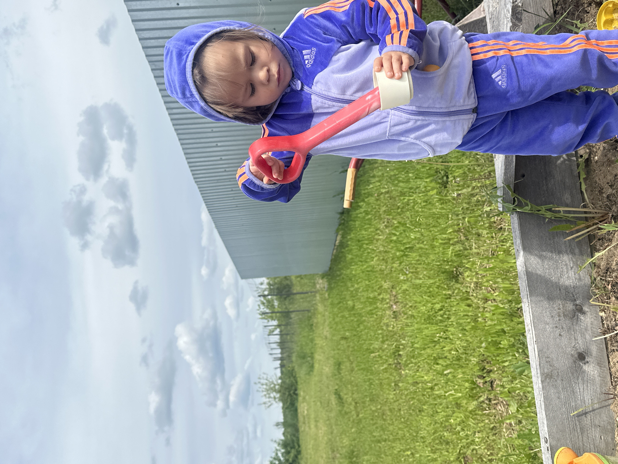 A young child, likely a toddler, is engaged in outdoor play in what appears to be a garden or backyard setting in Kharnavy, Russia. The child is dressed in a purple and light purple velour tracksuit, featuring bright orange stripes on the sleeves and legs, and an Adidas logo visible on the chest and pants. They are holding a red plastic toy shovel in their right hand and a small white cup or container in their left, focused intently downwards on their activity.
The child is positioned next to a wooden raised garden bed or planter, which contains soil. To the left of the child and behind the wooden structure, there is vibrant green grass. In the background, a metallic corrugated wall, possibly belonging to a shed or fence, is visible. Beyond this, a rural or suburban landscape stretches out under a bright, cloudy sky, with distant trees and what looks like a series of fence posts. The scene suggests daytime with ample natural light and scattered clouds. The child appears calm and absorbed in their play.