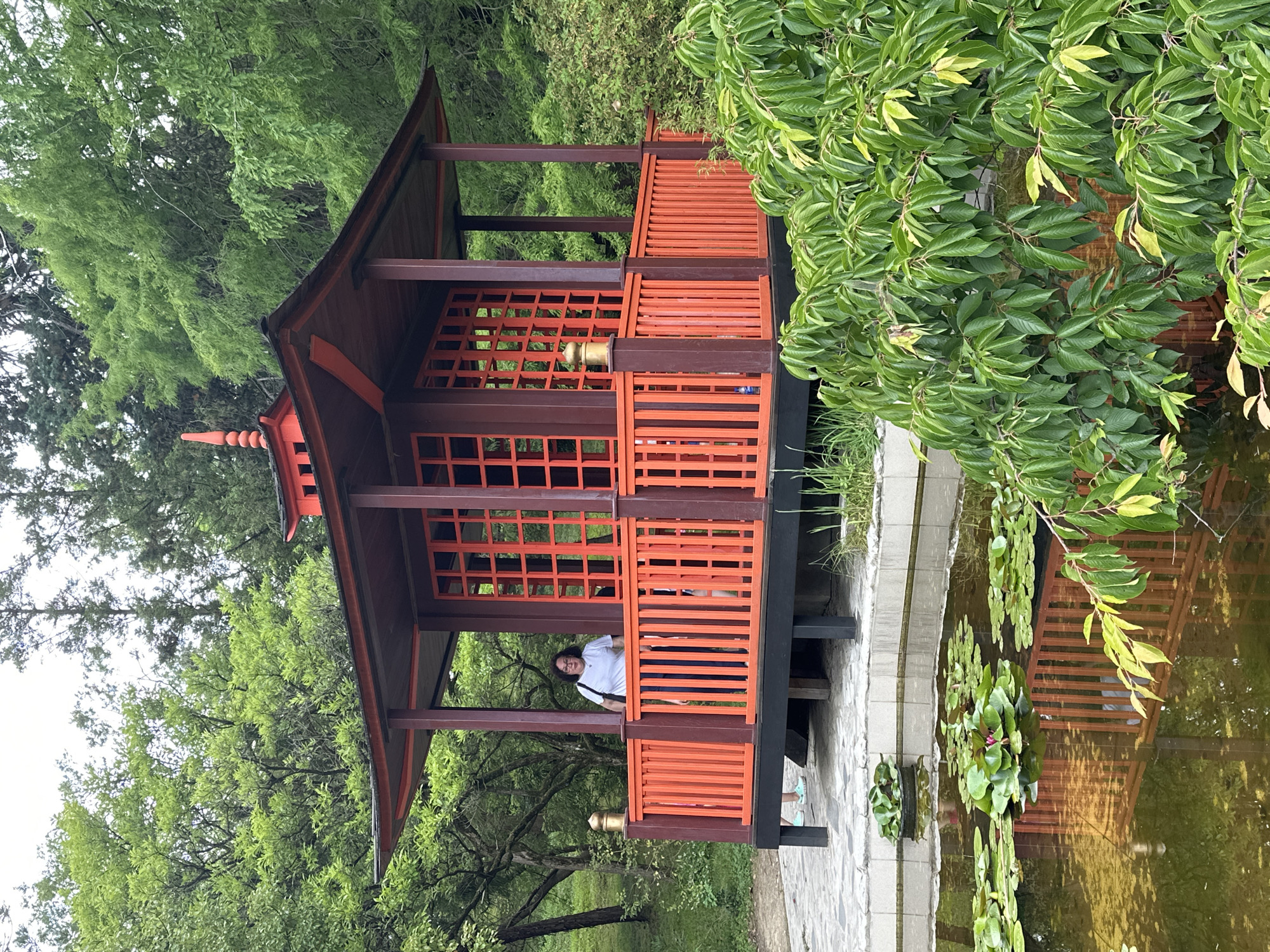In Sochi, Russia, a woman stands on the porch of a red, multi-tiered pagoda with intricate latticework windows. The pagoda is situated next to a pond filled with lily pads. Lush green trees and foliage surround the structure, creating a serene, natural setting. The reflection of the pagoda and surrounding trees is visible in the still water of the pond.