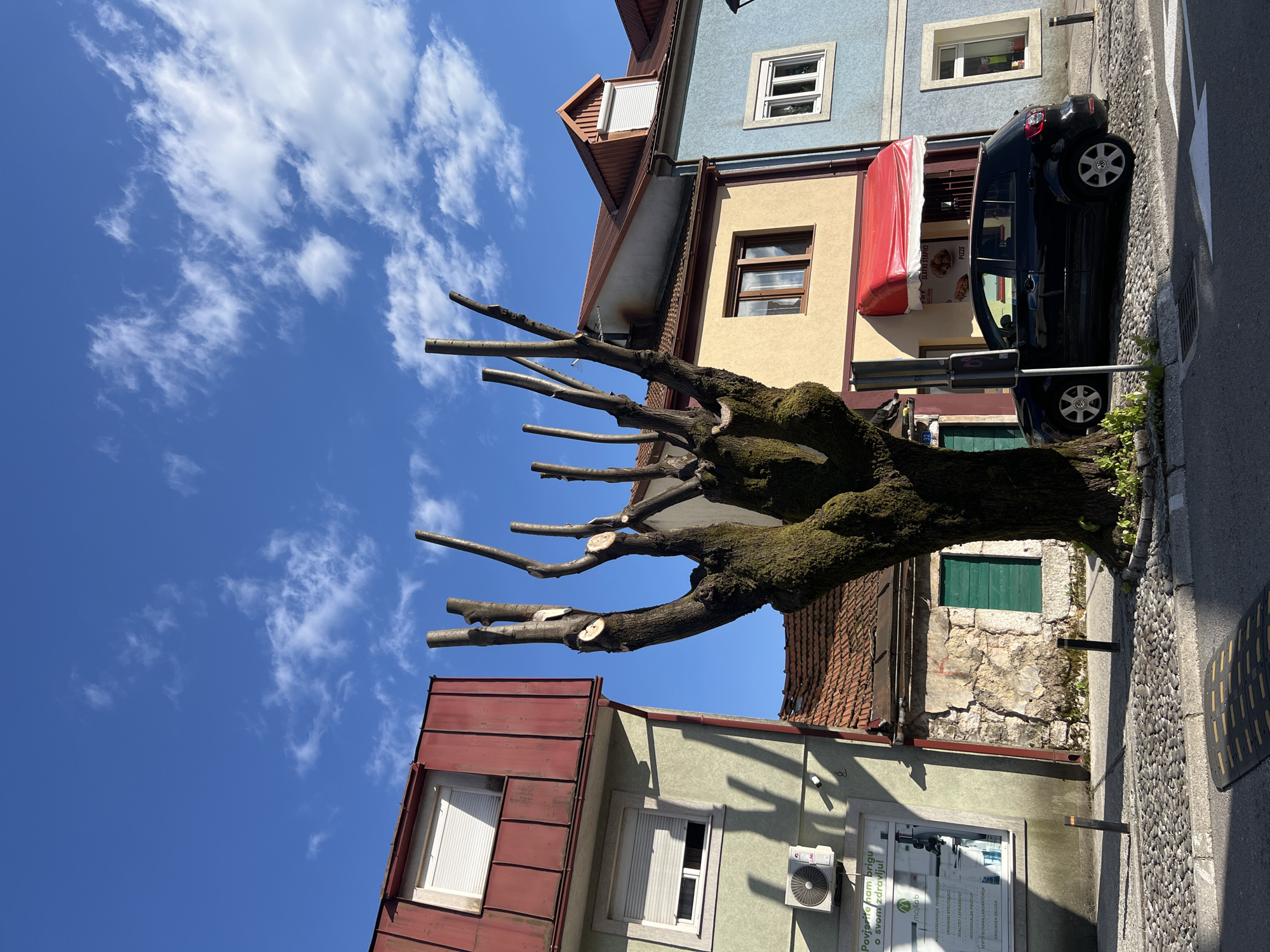 This image captures a vibrant street scene in Cetinje, Montenegro, under a bright blue sky dotted with scattered white clouds, suggesting a clear, sunny day. The scene is dominated by a large, heavily pruned tree with a thick, moss-covered trunk, its cut branches extending upwards, indicating pollarding.
Behind the tree, a row of colorful buildings lines the street. To the right, a light blue building features white-framed windows, while a yellowish building below it has a brown-framed window and a prominent red awning. This awning displays the text "SLATKI STAPICI," "FAST FOOD," and "PIZZE," suggesting a snack or fast-food establishment.
Further along, a black Volkswagen car is parked on the textured cobblestone street, adjacent to a sidewalk with a painted arrow, likely for a pedestrian crossing, and a speed bump. On the ground floor of a light green building, a shop window is visible, bearing text such as "Povjerite nam brigu o svom zdravlju!" and the logo "mojlab," indicating a health-related service or laboratory. An air conditioning unit is mounted on this building's facade. The roofs of the buildings are red-tiled, adding to the historic European town aesthetic.
No people are visible, and no particular event or activity is taking place, contributing to a tranquil atmosphere.