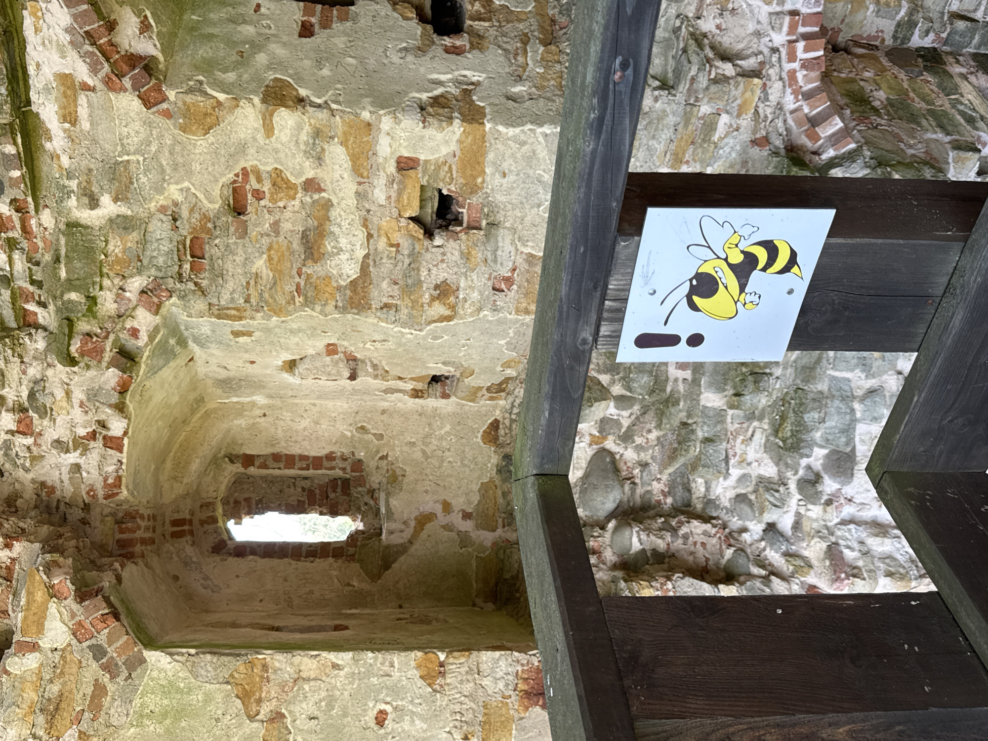 This is a medium shot, eye-level photograph of a section of the ruins of Vana-Vastseliina Castle in Estonia. In the foreground, a dark wooden railing runs horizontally across the frame, with a portion of a dark wooden post on the left. Attached to this post is a white square sign with a drawing of a yellow and black striped bee with wings outstretched, and a black exclamation point to its left. The bee is depicted with a slightly menacing expression.
Behind the railing and the sign, the stone and brick walls of the castle ruins are visible. The walls are rough and weathered, with visible sections of red brick and yellowish-brown stone, interspersed with mortar. In the background, a narrow, arched window opening in the ruined wall allows a glimpse of the outdoors, with greenery visible through the aperture. The environment appears to be an outdoor historical site, possibly a tourist attraction, given the presence of the warning sign. The lighting is natural and diffused, suggesting an overcast or shaded day.