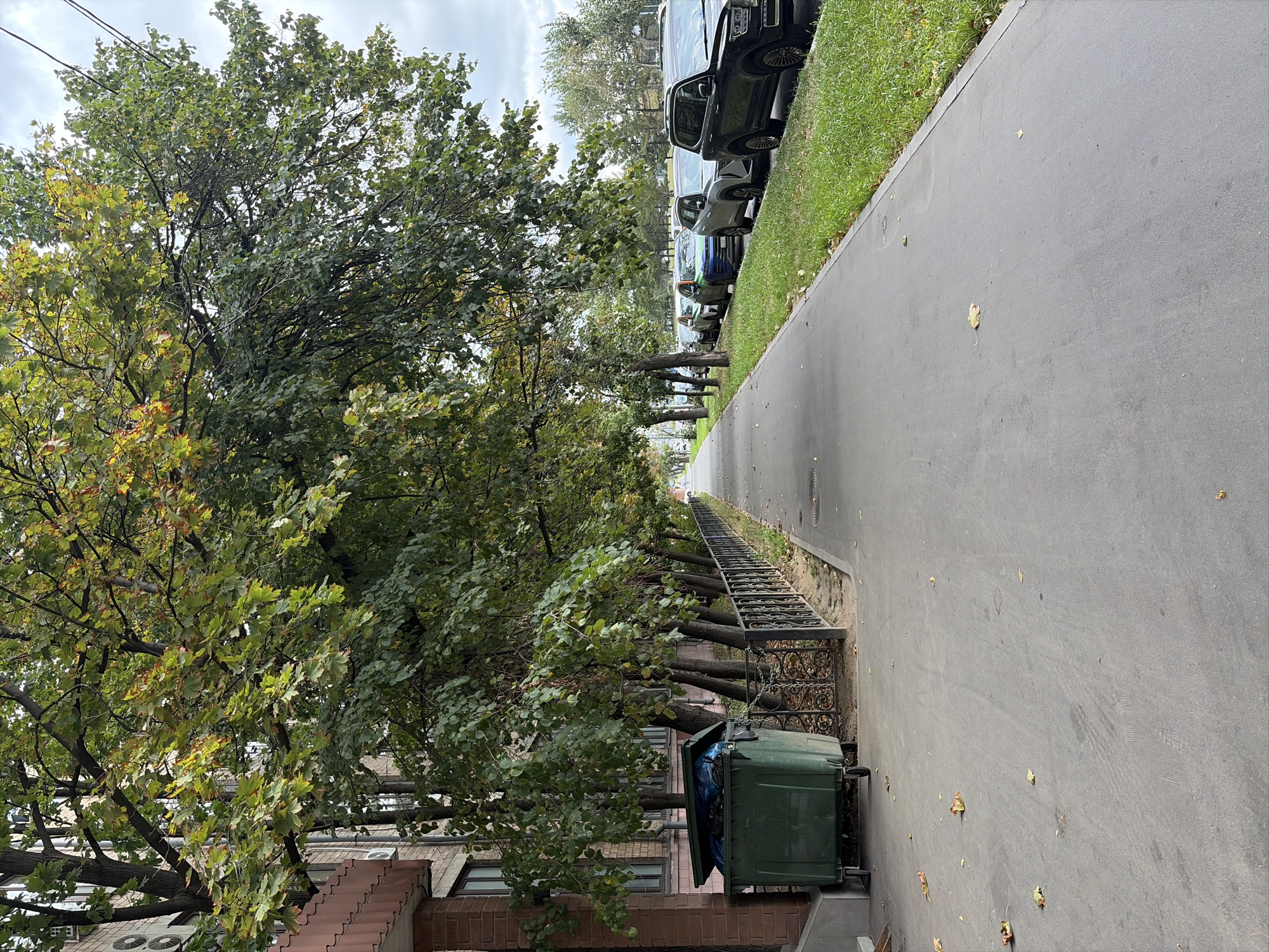 This image depicts an urban street scene in Moscow, Russia, likely during autumn given the presence of changing leaves on the trees. On the left side of the frame, a multi-story brick apartment building is visible, with air conditioning units mounted on its facade. Adjacent to the building is a large, dark green wheeled dumpster with its lid open, containing what appears to be blue plastic bags. A black metal fence runs along the sidewalk, separating it from a strip of grass and parked cars. A variety of cars, including a dark SUV and a silver sedan, are parked along the curb. The sidewalk itself is paved and shows some scattered fallen leaves. The background reveals more trees and a cloudy sky.