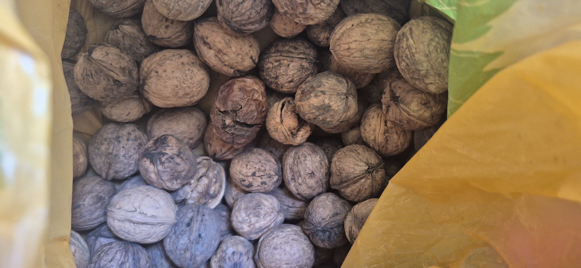 A close-up shot captures a collection of walnuts inside what appears to be a partially visible yellow bag or container. The walnuts vary in color from light brown to grayish-blue, with diverse textures and patterns on their shells. Some of them are whole, while one appears to be cracked open. The location, Kryvyi Rih, Ukraine, is based on contextual information not evident from the image. No people are visible, and the focus is entirely on the walnuts and the container they are in. The environment is undefined beyond the immediate context of the bag.