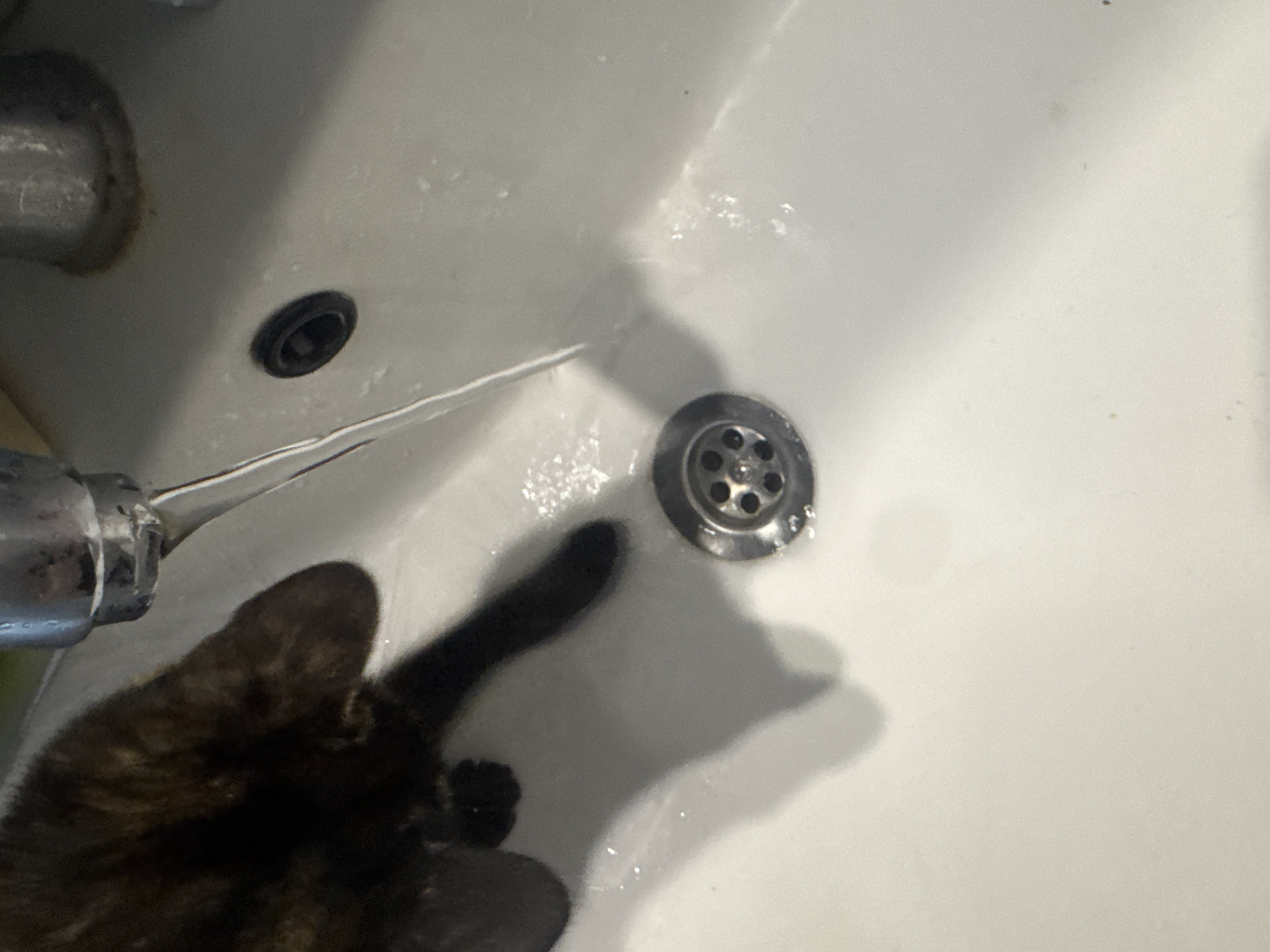 A high-angle shot depicts a white sink with a faucet running water towards the drain. A dark-colored cat is positioned on the left side of the sink, with its paw near the water stream. The city and exact location are unknown.