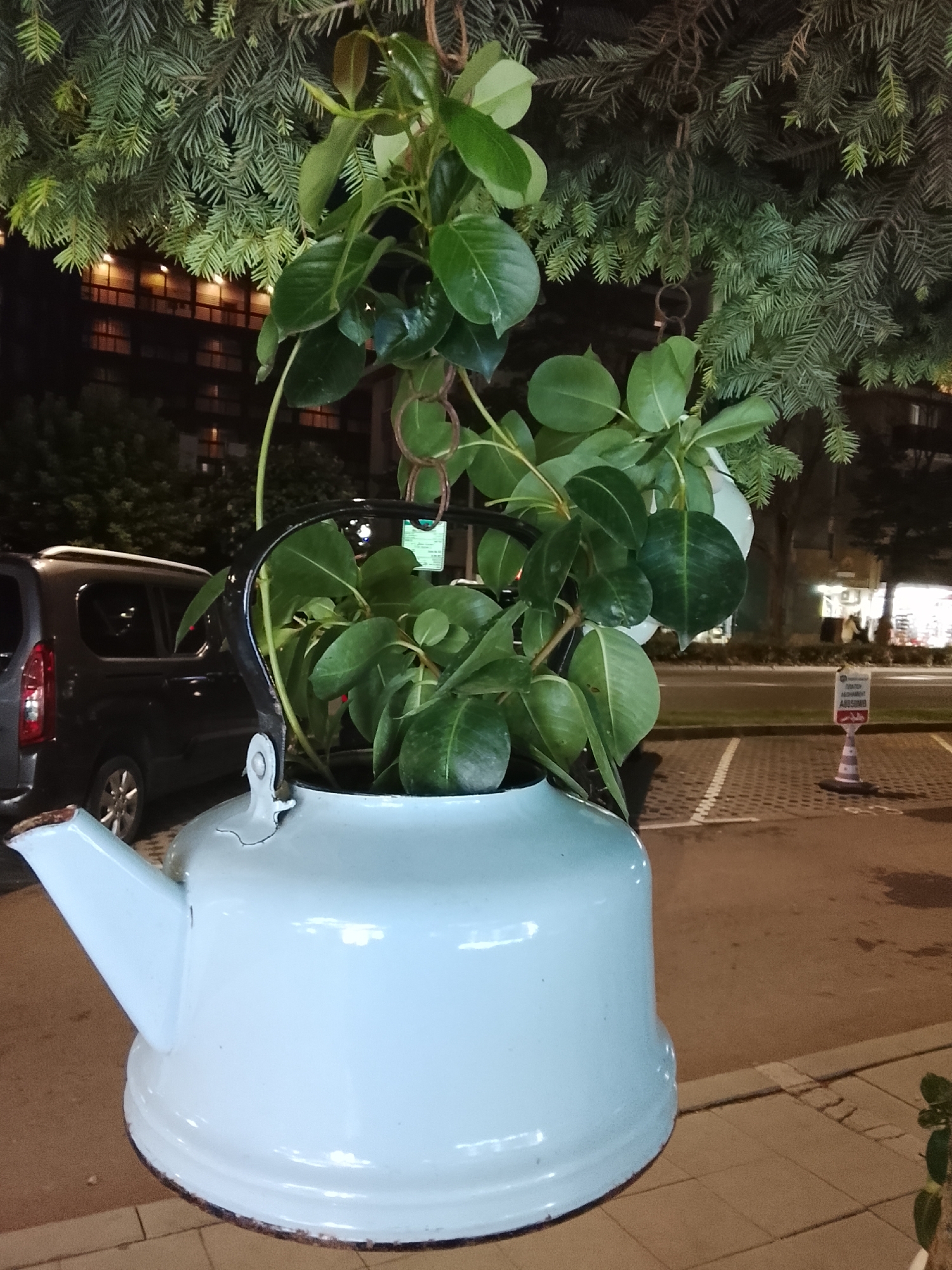 The image captures an unusual planter in what appears to be a parking area. A large, light blue enamel teapot, with visible signs of rust on its rim and spout, serves as a container for lush green foliage. The plant's stems and leaves cascade from the teapot's opening, with some branches reaching up towards the dark branches of an evergreen tree overhead. Hanging chains, presumably for support, are visible near the top of the teapot. In the background, a dark colored minivan is parked, and beyond that, a building with illuminated windows suggests an urban setting. A traffic cone with a sign is also visible in the middle ground, and the ground is paved with interlocking bricks and asphalt. The overall lighting suggests it is nighttime or dusk. The location is identified as Nesebar, Bulgaria.