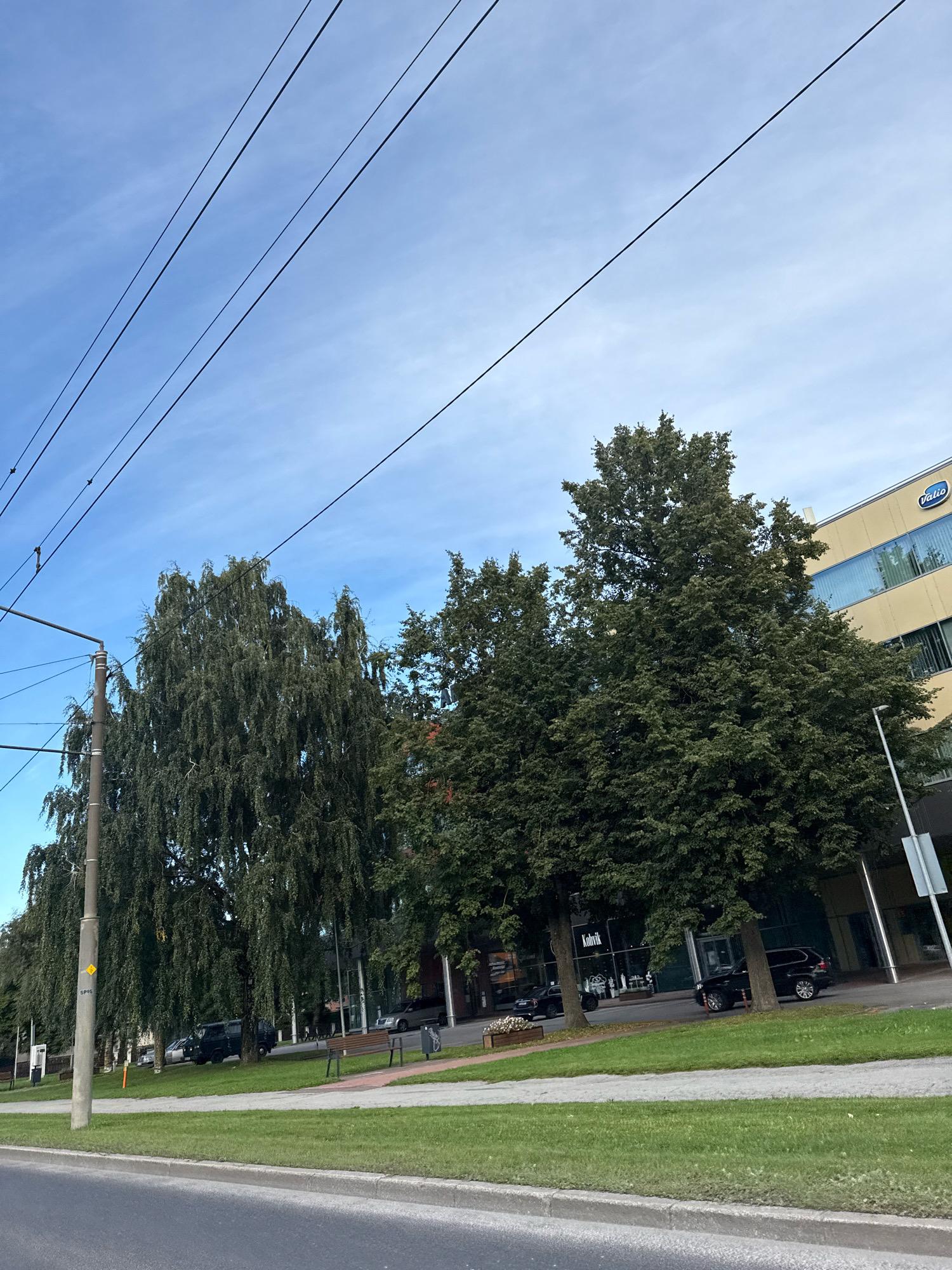 The image shows a street scene in Tallinn, Estonia. Several overhead power lines stretch diagonally across the frame against a clear blue sky with wispy clouds. On the left, a concrete utility pole with attached wires stands prominently. Adjacent to the pole are two large, mature trees with dense foliage; the tree on the left has a weeping appearance, while the one on the right is more upright and rounded. Behind the trees, a modern, light yellow building with large windows is visible. A blue logo with white lettering, "Valio," is affixed to the upper right corner of the building. In the middle ground, cars are parked along the street. A black SUV is parked in front of a storefront with a sign that reads "Klubik." A sidewalk and a strip of green grass separate the street from the building. In the foreground, a paved road runs along the bottom edge of the image, with a concrete curb and a grassy verge. The lighting suggests it is daytime, likely late afternoon or early morning due to the angle of the light. There are no people clearly visible in the frame.