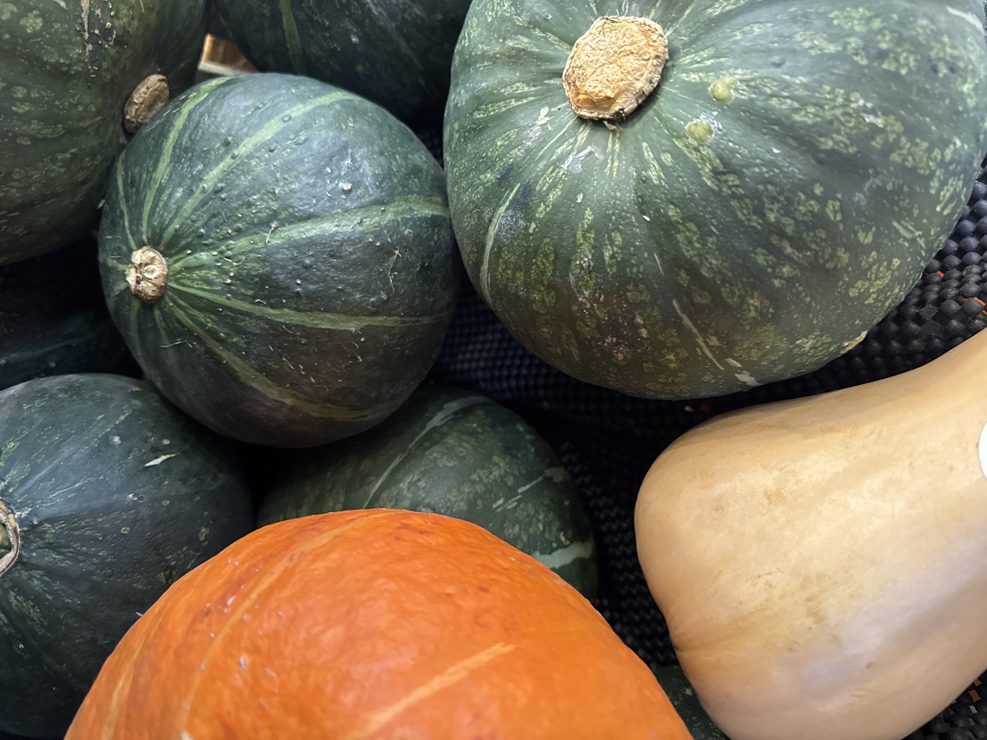 The image shows a close-up view of a pile of various types of squash. There are several dark green, round kabocha squashes with visible stems. At the bottom of the frame, there are two other squashes: one is bright orange, possibly a pumpkin, and the other is a beige-colored butternut squash. The squashes appear to be resting on a black surface with a textured pattern. The lighting is bright and the image is in focus. There is no indication of the location being Kuta Selatan, Indonesia.
