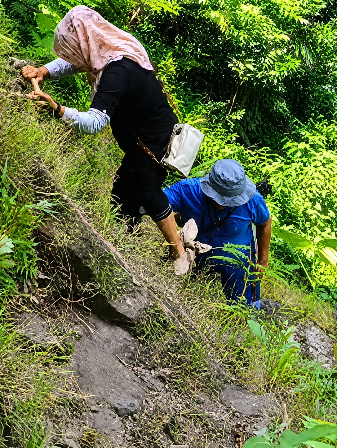 In the city of Gunung Ambat, Indonesia, two individuals are captured on a steep, vegetated slope. The person in the foreground, wearing a light pink hijab and a black long-sleeved shirt with a white bag slung across their chest, is gripping a thick rope with their left hand, appearing to ascend. Their right hand is also on the rope, suggesting effort in climbing. To their right and slightly lower, a second individual, attired in a blue shirt and a blue hat, is bent over, reaching with their right hand towards something on the ground, possibly assisting the first person or retrieving an object. Both are surrounded by lush green foliage, with rocky terrain and dense vegetation characteristic of a natural, outdoor environment. The lighting suggests daylight, with shadows indicating the sun's position.