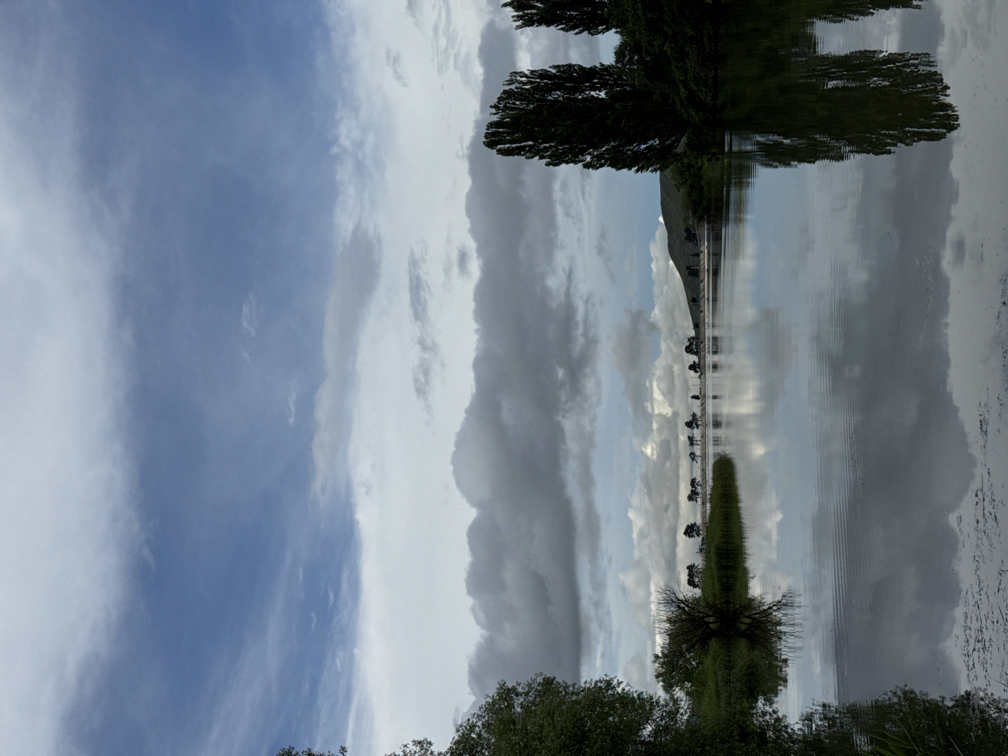 This is a serene landscape photograph taken on an overcast day at the Krasnogorskaya hydroelectric station in Krasnogorsk, Russia. A calm body of water, reflecting the sky and surrounding trees, dominates the foreground. The water's surface shows subtle ripples. On the far bank, a line of trees stretches horizontally, with taller, dark green trees in the foreground and mid-ground on the right side of the image. A gently sloping hill is visible in the background, behind the row of trees. The sky is filled with a mix of dark, heavy clouds and lighter, wispy ones, with a hint of blue peeking through. Vegetation, including reeds and grass, grows along the water's edge on the left. No people are present in the image.