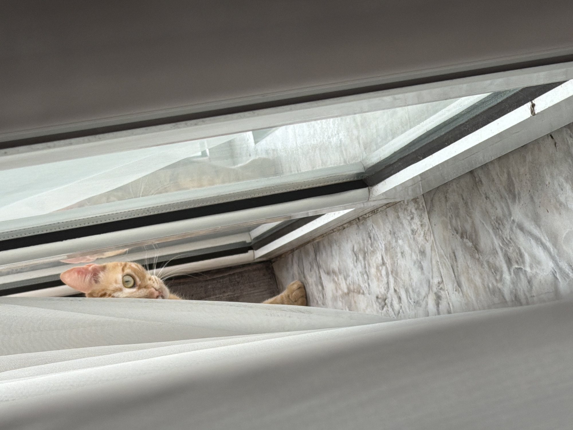 An eye-level close-up shot depicts an orange tabby cat peeking out from behind a partially drawn white curtain beneath a window. The cat's head and one paw are visible. The window frame is white and the wall next to it has a mottled gray or beige appearance. The location is not discernible based on the image.