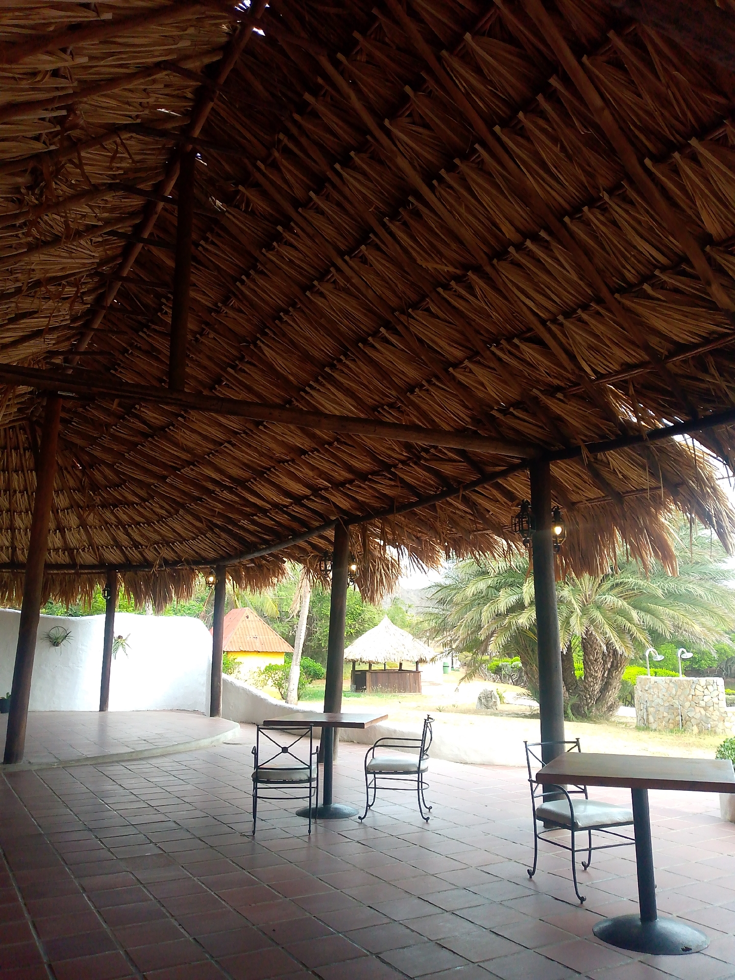The image captures a covered outdoor patio in Pedro González, Venezuela. The patio is tiled with square terracotta tiles. Two black metal tables with matching chairs are visible. The structure has a thatched roof supported by wooden beams and pillars. Outside the patio, there is lush vegetation, including palm trees and a small thatched-roof structure. In the background, there are glimpses of buildings and trees.