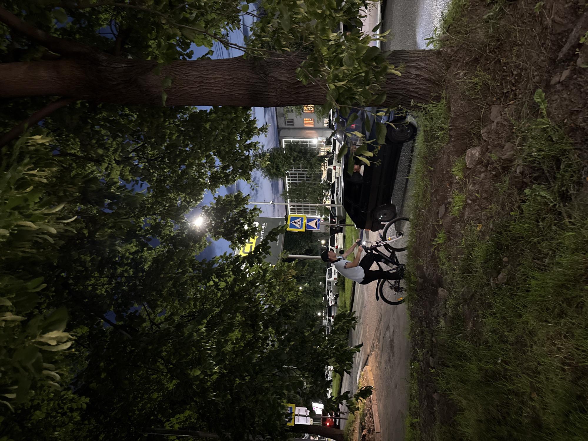 The image depicts a nighttime scene on a street in Vladikavkaz, Russia. A person is riding a bicycle on a paved road, illuminated by a street lamp and the headlights of parked cars. The cyclist, dressed in a white t-shirt and black pants, appears to be moving forward. The setting includes a large tree with lush green foliage dominating the left side of the frame, with its trunk prominently visible. To the right of the road, there's a grassy embankment. Several cars are parked along the street. In the background, buildings with illuminated windows suggest a residential or commercial area. Traffic signs are also visible, indicating a public road. The overall atmosphere is somewhat dim, typical of nighttime urban environments, with a hint of twilight in the sky.