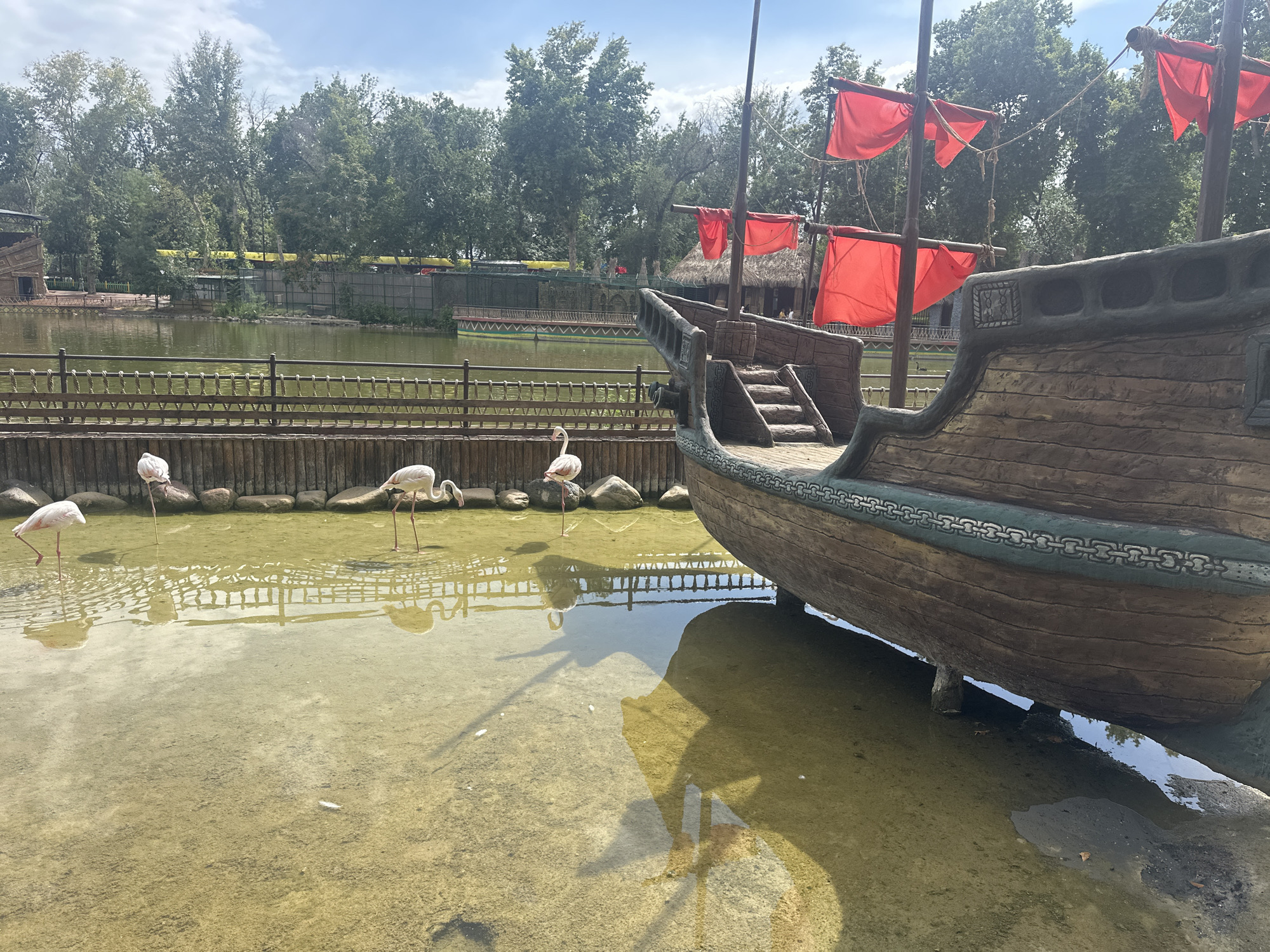 A shallow, murky body of water with a sandy bottom is home to four flamingos. A wooden fence separates the water from a path lined with rocks and more flamingos. In the background, lush green trees line the water's edge, and a large, pirate-ship-themed structure with red sails dominates the right side of the frame. The ship appears to be a decorative element, possibly part of a zoo or amusement park, as suggested by the presence of animal enclosures and foliage behind it. The sky is partly cloudy, indicating daytime. The overall scene suggests a warm, sunny day in a park or zoo setting, likely in Tashkent, Uzbekistan, given the provided location context. No visible text is present.