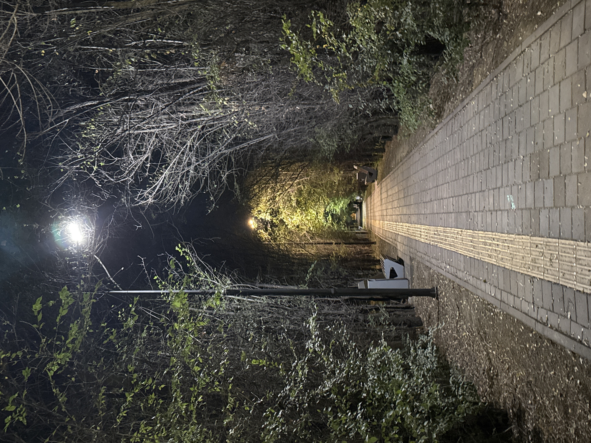 A night-time, eye-level shot depicts a paved walkway lined with trees on either side, creating a tunnel-like effect. The walkway, constructed from interlocking stone pavers, features a raised yellow tactile paving strip running along its left edge. A street lamp with a bright, diffused light is positioned on the left side of the walkway, illuminating the immediate surroundings. Further down the path, another street lamp casts a warm, yellow glow. Benches are visible along the right side of the path, partially obscured by the dense foliage of the trees. Fallen leaves are scattered on the ground beside the walkway. The overall environment suggests a park or a tree-lined pedestrian area. The image is likely from Almaty, Kazakhstan, given the context.