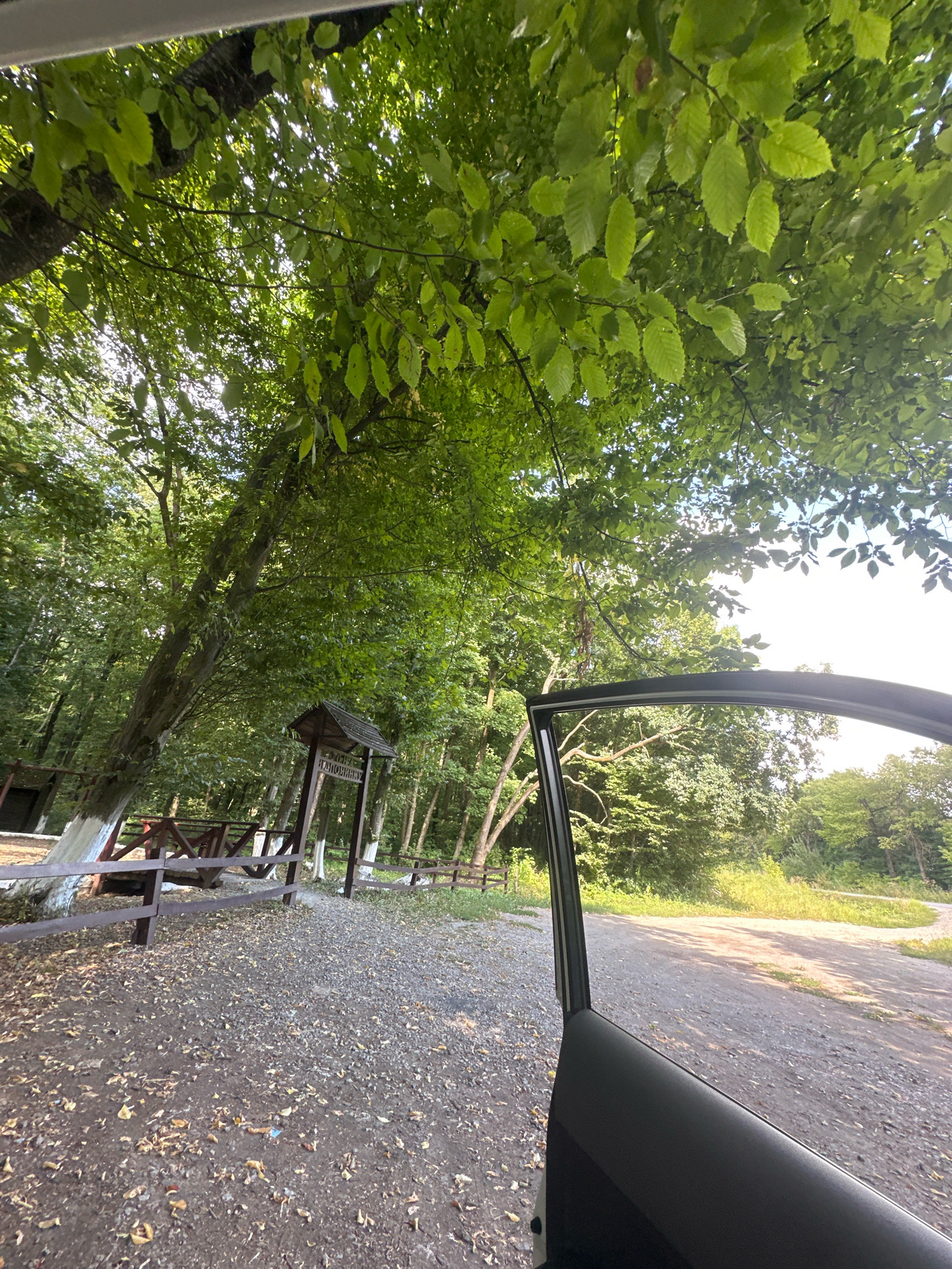 The image shows a view from inside a car, with the driver's side door open, looking out onto a gravel path and a wooded area. The path is bordered by a wooden fence and a small, wooden structure with a roof. Trees with dense green foliage overhang the scene, with sunlight filtering through the leaves. The ground is covered with gravel and fallen leaves. In the background, more trees and a dirt road are visible. The scene appears to be a natural setting, possibly a park or a rest stop on the outskirts of Shatava, Ukraine.