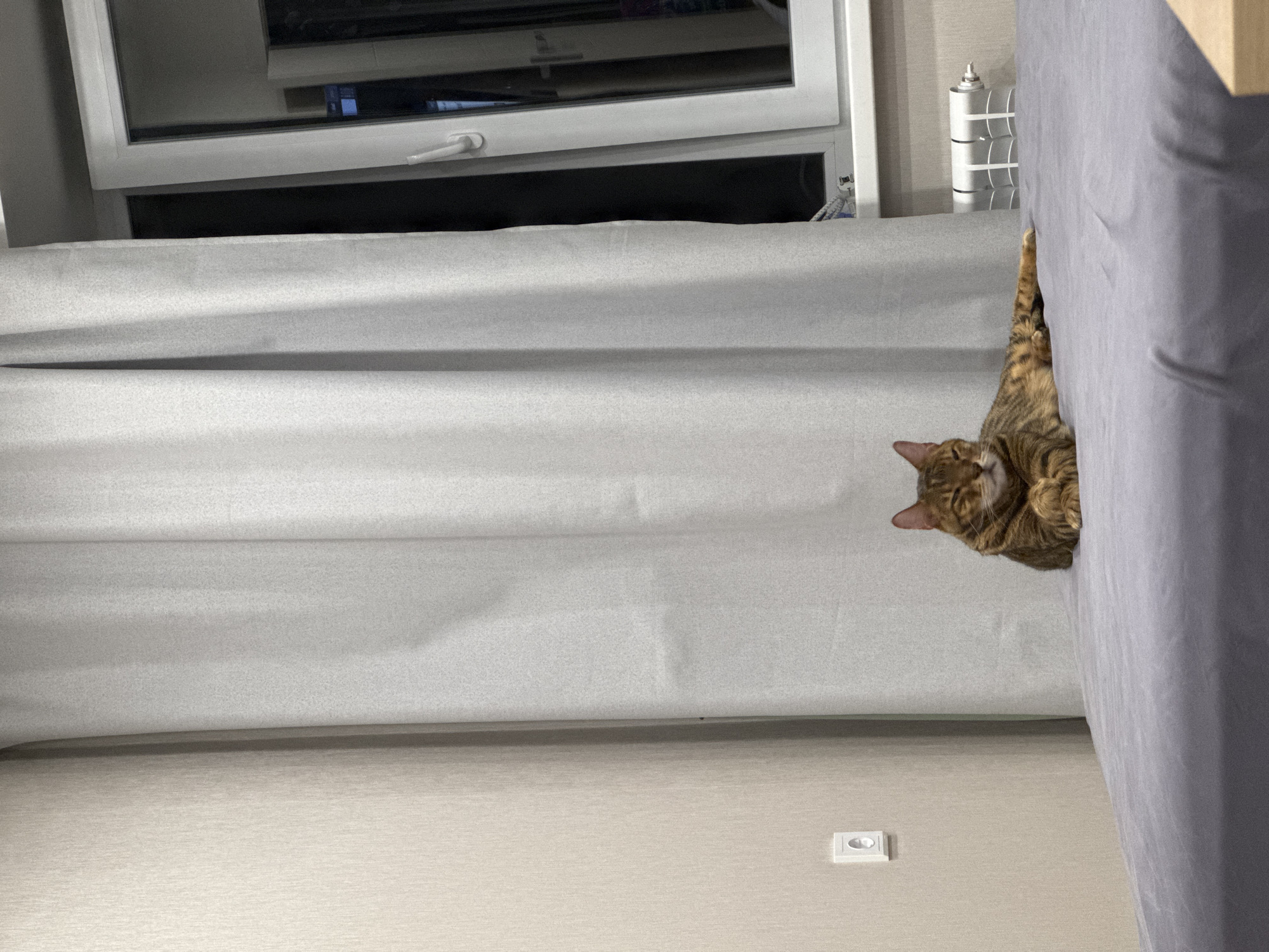 A low-angle, indoor shot features a brown tabby cat nestled along the edge of a grey sofa. The sofa is situated against a light grey wall. A white curtain is drawn behind the sofa, partially obscuring a white window. An electrical outlet is visible on the wall. A white, radiator-like object is seen to the left of the sofa.