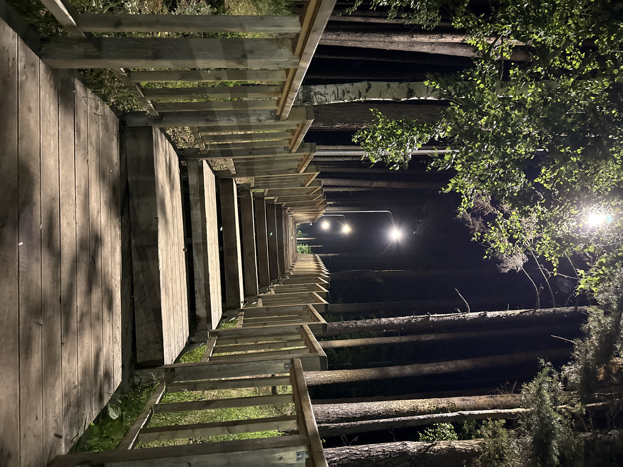 A wooden staircase with railings ascends through a forest at night. The staircase is illuminated by streetlights positioned along its path, creating distinct shadows on the wooden steps. Tall trees, including pines and birches, flank the staircase, with their foliage appearing bright green under the artificial light. The ground surrounding the staircase is covered in grass and fallen leaves. The scene is likely located in Chaikovsky, Russia, given the mention of the city. No people are visible in the image.