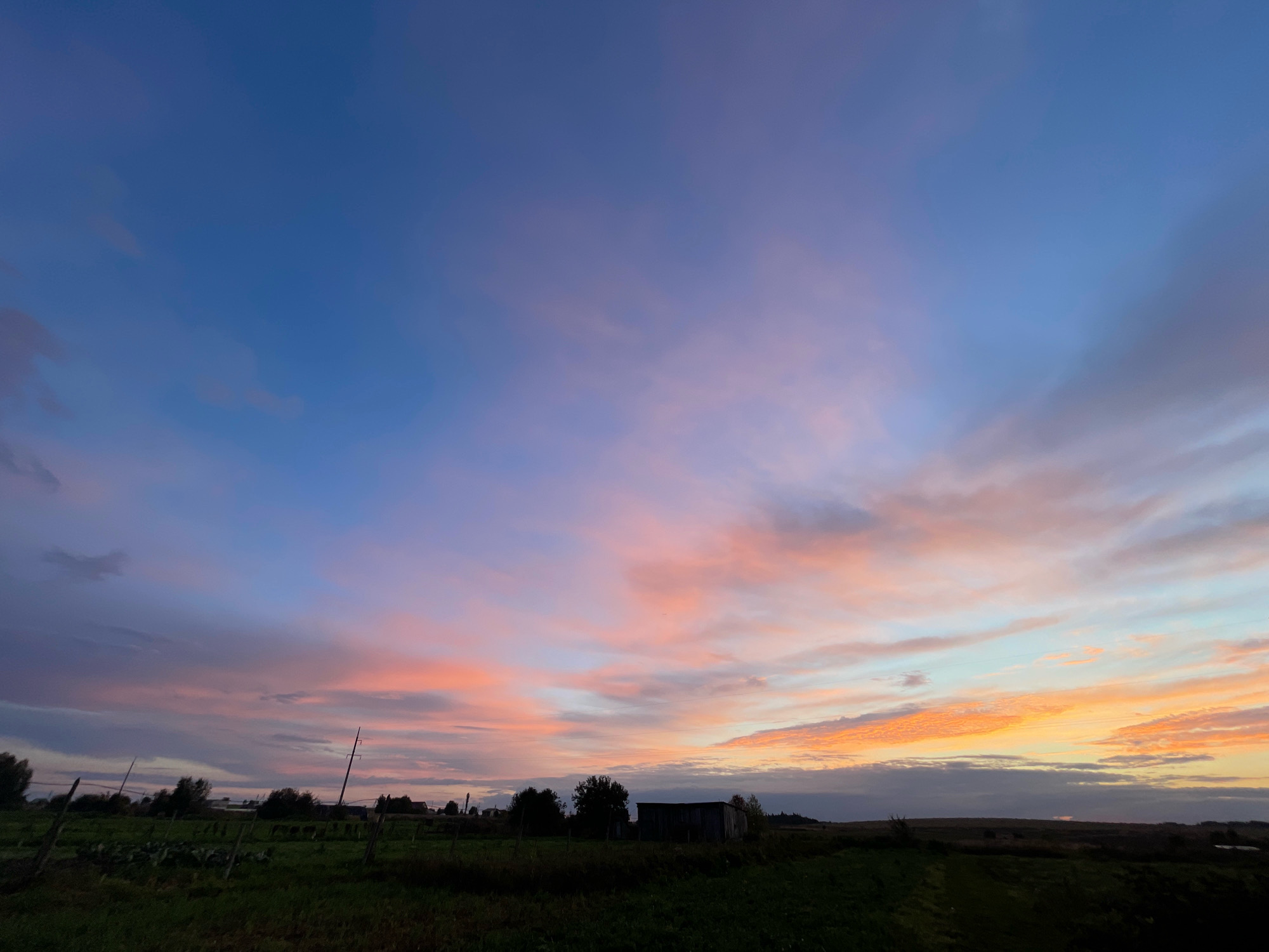 The image shows a rural landscape at dusk in the village of Perevoznoe, Russia. A vast sky dominates the upper portion of the frame, transitioning from deep blue at the top to soft pinks, oranges, and yellows near the horizon, indicating the setting sun. Wispy clouds are illuminated by the fading sunlight, creating a colorful, streaky pattern across the sky.
The lower half of the image depicts a dark, grassy field. Several scattered trees and what appear to be small buildings or structures are silhouetted against the brighter sky in the distance. A single utility pole with wires is visible in the middle ground, along with some fencing or supports in the foreground, suggesting agricultural activity or property boundaries. The overall impression is one of a quiet, natural scene at the end of the day. There are no people or animals visible.