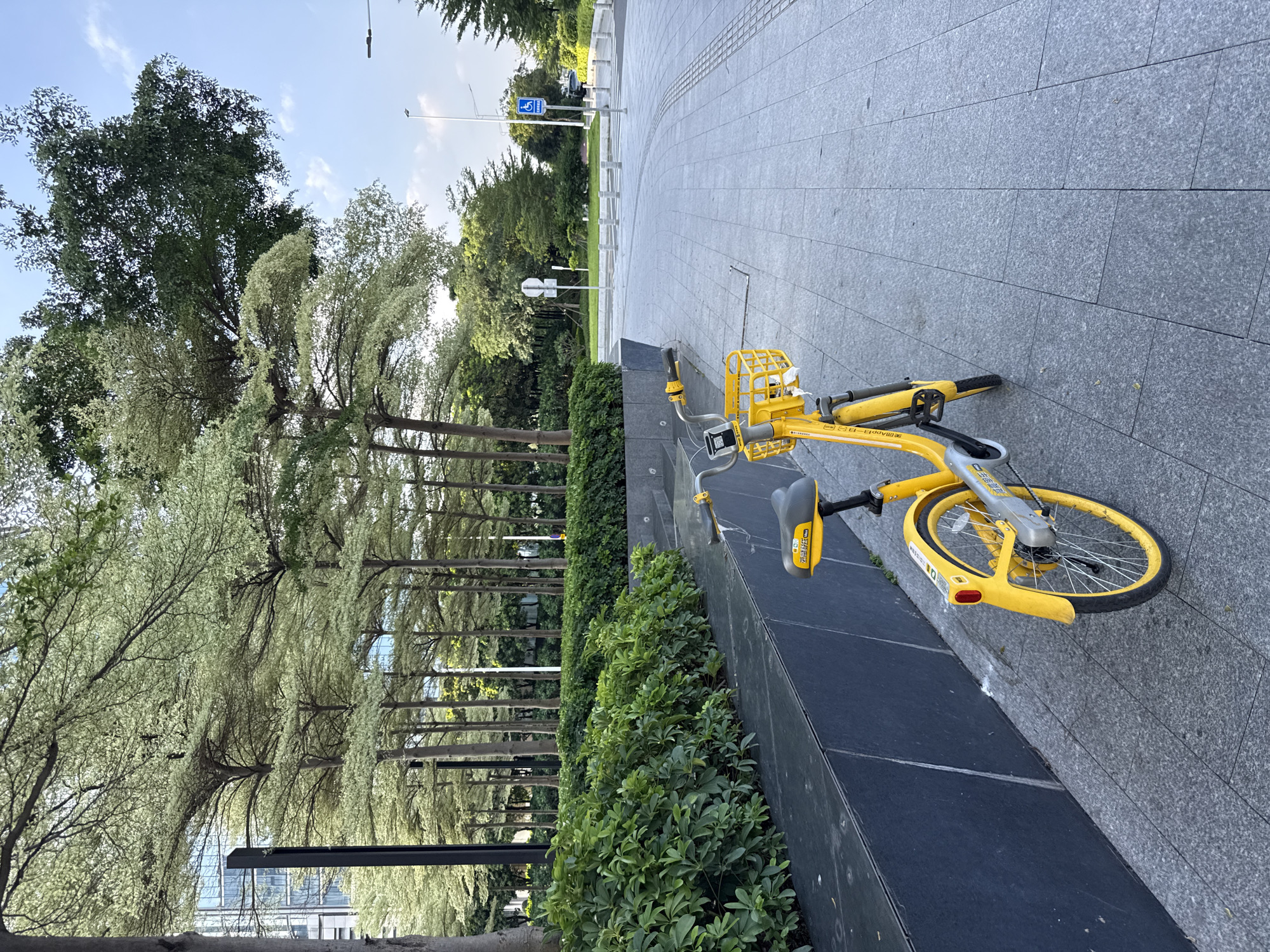 A yellow shared bicycle is parked on a paved sidewalk next to a dark stone planter and a line of trees. The bicycle has a basket on the front and a red reflector on the back fender. The planter is filled with green foliage, and beyond it, a row of tall, slender trees with light-colored leaves creates a canopy. In the background, a modern glass building is visible. Further in the distance, there are more trees and a street with bollards and traffic signs, including a blue sign with a wheelchair symbol. The sky is clear with some scattered white clouds. The scene appears to be in an urban area, possibly Haizhu District, China, given the style of the shared bicycle and the surrounding architecture and landscaping. There are no people visible in the image.