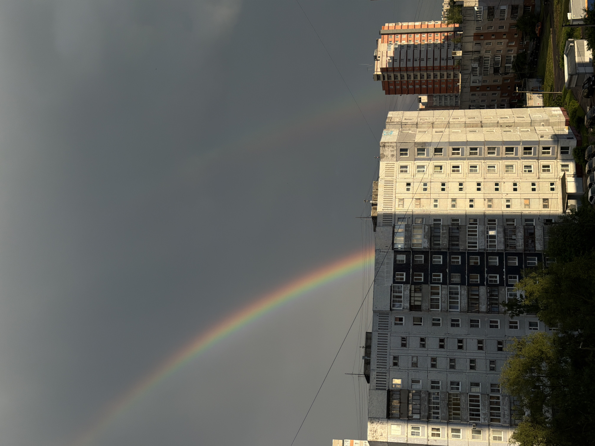 This is an outdoor, eye-level, medium shot of a double rainbow arching across a dark, cloudy sky above a city. The sky is a gradient of dark gray, with a brighter band of gray directly above the buildings. The primary rainbow is vivid, displaying bands of red, orange, yellow, green, blue, and violet, and it originates from the left side of the frame and curves towards the right. A fainter secondary rainbow is visible above and to the right of the primary one.
In the foreground, several multi-story residential buildings are visible. The building on the left is a long, light-gray building with numerous windows and balconies. Its facade is illuminated by sunlight, creating a contrast with the shaded areas. To the right of this building, a taller, orange-red and white apartment building stands, also with many windows. Further to the right, another building with orange and gray sections is partially visible. In the lower portion of the image, trees with green foliage obscure the ground level, and parked cars and parts of other buildings are visible in the very bottom right corner. Power lines run horizontally across the mid-section of the image, in front of the buildings. No people are visible in the frame. The overall impression is of a post-rain scene in an urban environment.