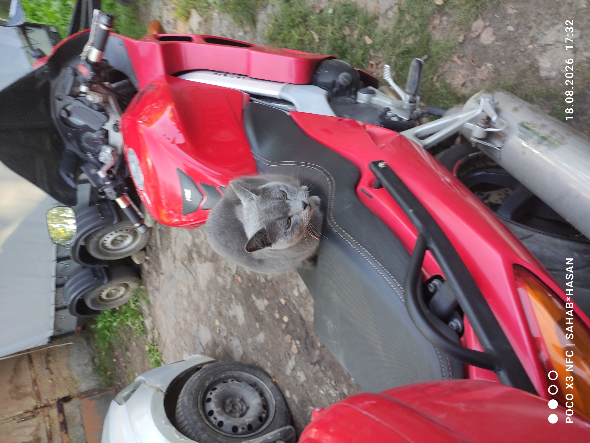 A grey cat sits on the seat of a red motorcycle. The motorcycle is parked on a dirt and gravel surface, with some grass and fallen leaves visible. In the background, a silver car and a white trailer are parked. The overall scene appears to be an outdoor area, possibly a yard or parking lot, with a rustic feel. The image is dated August 18, 2026, at 17:32. There is no indication of the city of Kostroma, Russia.