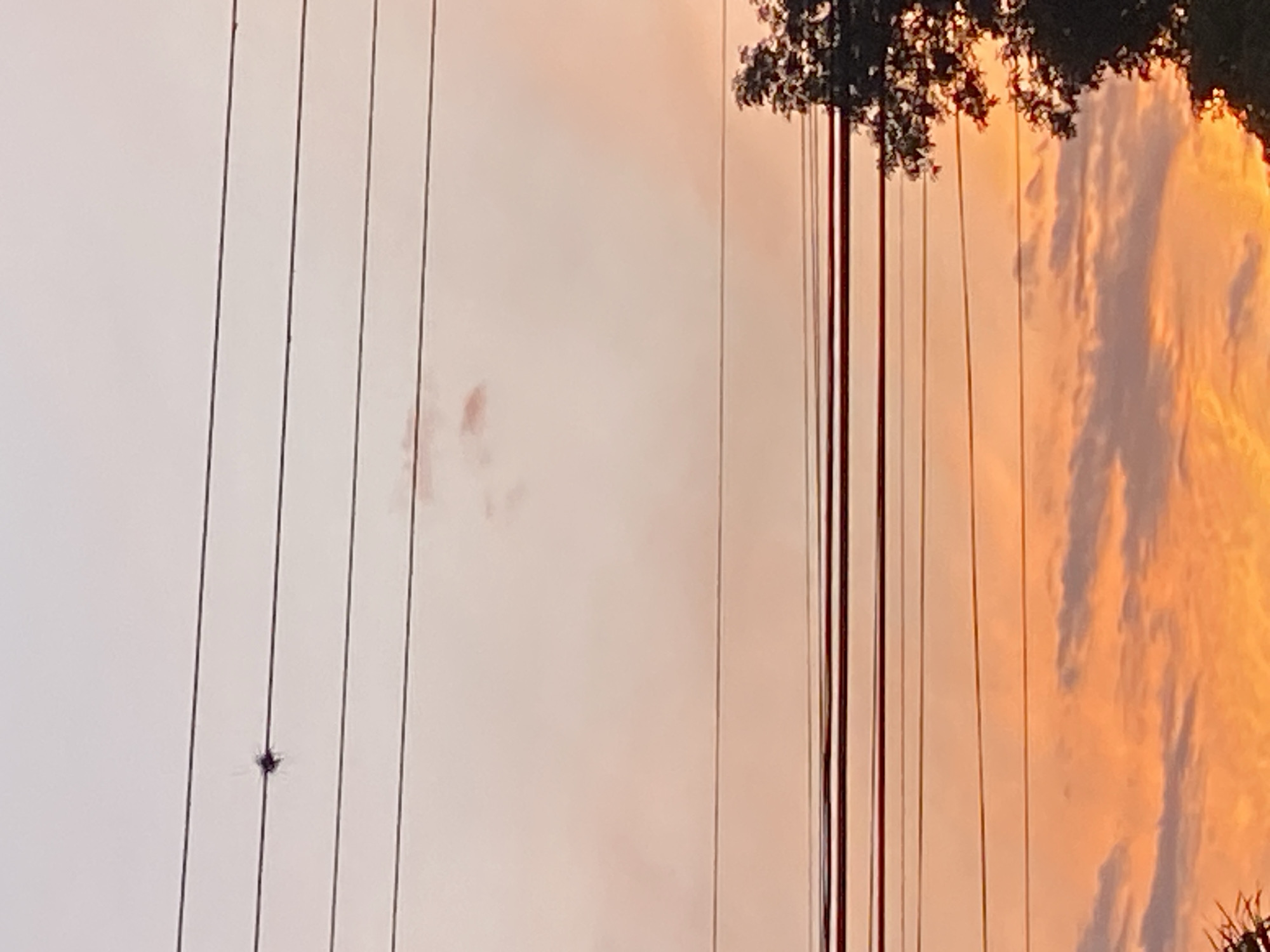 The image shows a view of power lines against a sky with warm, golden hues, likely at sunset or sunrise. To the right, there are trees visible, adding to the natural ambiance. The location is identified as Tinaquillo, Venezuela, although there are no specific elements to confirm this.