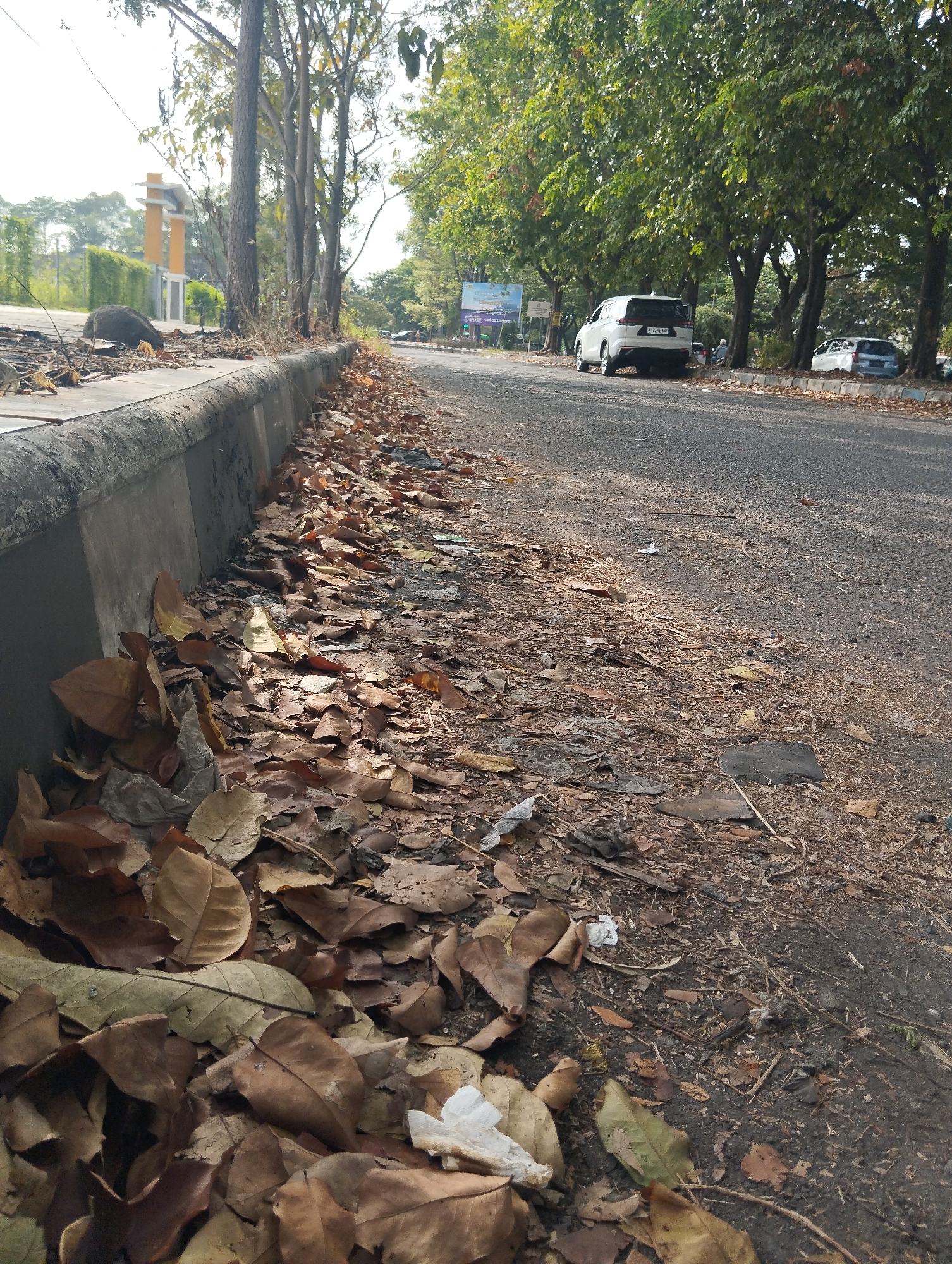 The image depicts a roadside scene in Sedati Agung, Indonesia, likely during autumn or a dry season, given the abundance of fallen leaves. The foreground is dominated by a thick layer of dry, brown leaves and debris accumulated along the edge of a paved road. A concrete curb separates the road from a patch of dry grass and some sparse vegetation.
In the background, a paved road stretches into the distance, lined with mature trees providing shade. Several vehicles are visible on the road. A white SUV is parked on the side of the road, with a license plate that appears to read "L 1270 AR". Further down the road, another light-colored vehicle is parked.
On the left side of the road, past the curb, a modern-looking structure with yellow and white accents is visible, possibly a building or entrance gate, surrounded by greenery. The sky is bright, suggesting daylight. The overall impression is one of a slightly neglected urban or suburban roadside environment, characterized by natural elements like fallen leaves and trees, alongside man-made infrastructure and vehicles.
