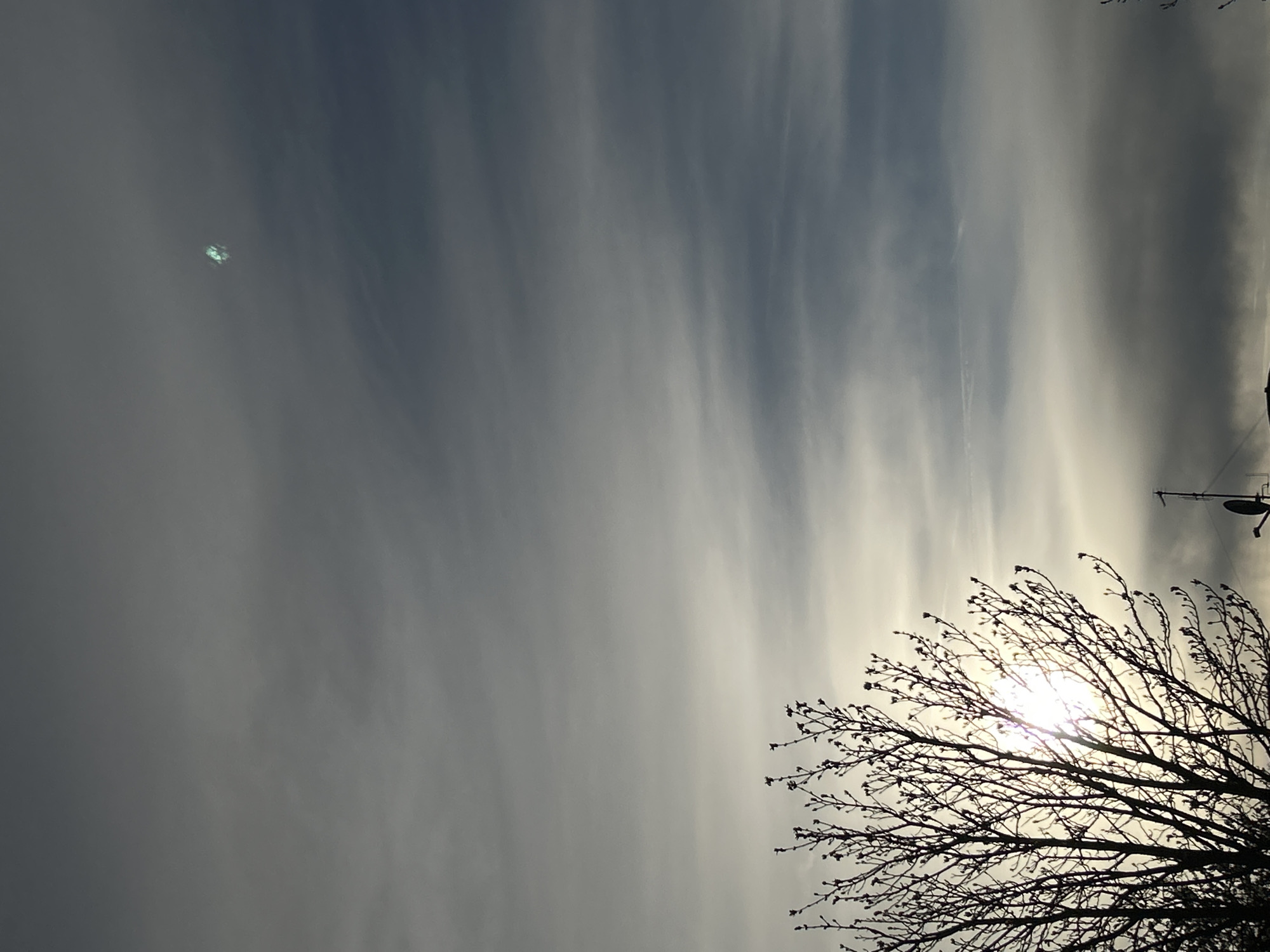The image shows a sky with streaky gray and white clouds. A bare tree branch silhouette occupies the lower right corner, with the sun shining through it. In the upper right, a television antenna is visible. The location appears to be Truchtersheim, France, based on visual elements common to the region. No people are visible.