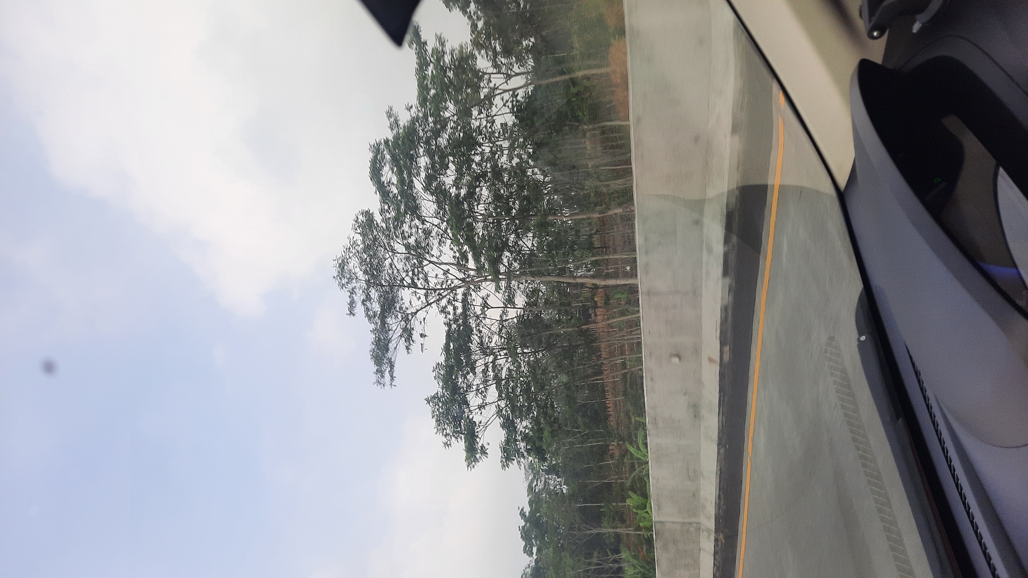 A view from inside a vehicle shows a highway with a concrete barrier on the right. Beyond the barrier, a dense forest of trees stretches across a hillside. The sky above is overcast with some patches of blue. The dashboard of the vehicle is partially visible in the foreground. The scene depicts a roadside view with natural vegetation, likely in a semi-rural or suburban area of Timpik, Indonesia.