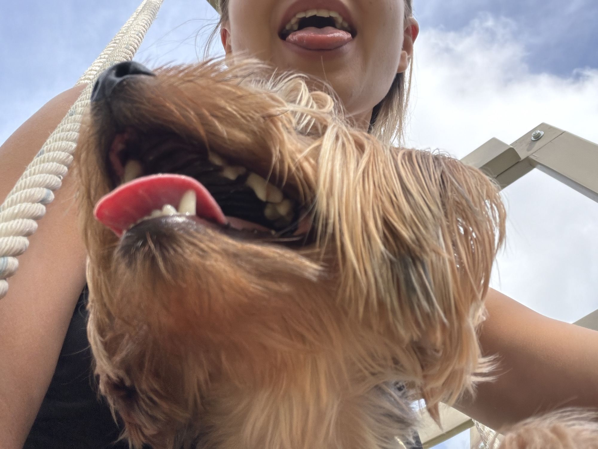 This image is a low-angle, wide shot of a person and a dog interacting outdoors. The dog's head is prominently in the foreground, with its mouth open and tongue sticking out, obscuring much of the person's face. The person, a young female, is partially visible on the right side of the frame, with her mouth also open and tongue extended. Both appear to be in a playful or affectionate interaction. The background consists of a bright blue sky with scattered white clouds and a portion of a light-colored structure, possibly a fence or railing, and a thick white rope. The lighting suggests it is daytime. The image does not contain enough detail to determine the specific location within Thep Krasatti, Thailand.