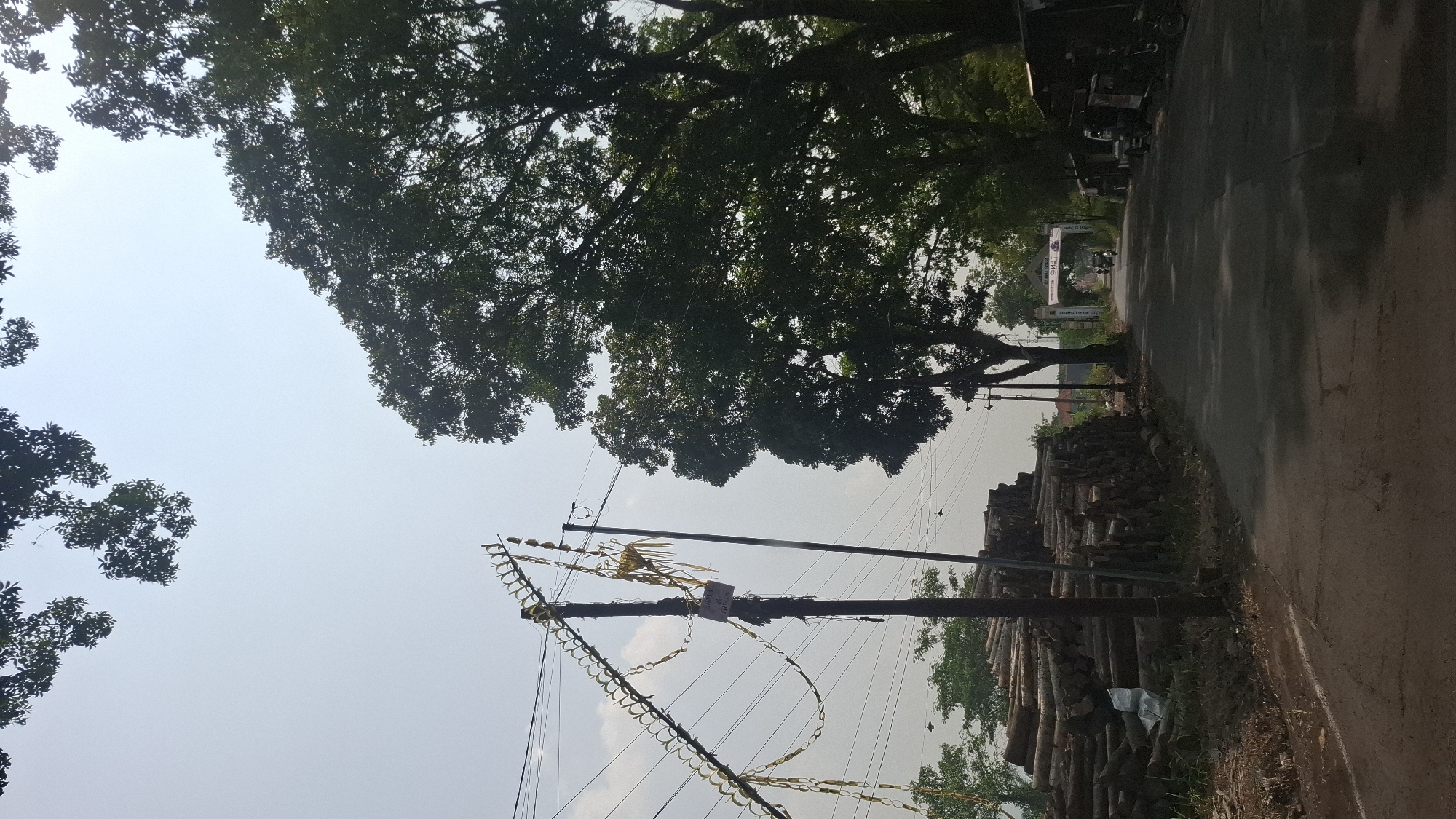 The image depicts a rural road in Sukasari, Indonesia, lined with trees and a large pile of logs on the left. A utility pole adorned with yellow streamers stands prominently in the foreground. The road leads towards an archway in the distance, with a banner displaying text, likely indicating a local event or landmark. A few vehicles, including motorcycles and a three-wheeled vehicle, are visible parked along the right side of the road and on the road itself, suggesting a settled area. The sky is clear and bright, indicating daylight. The overall scene conveys a sense of rural life and community in Indonesia.