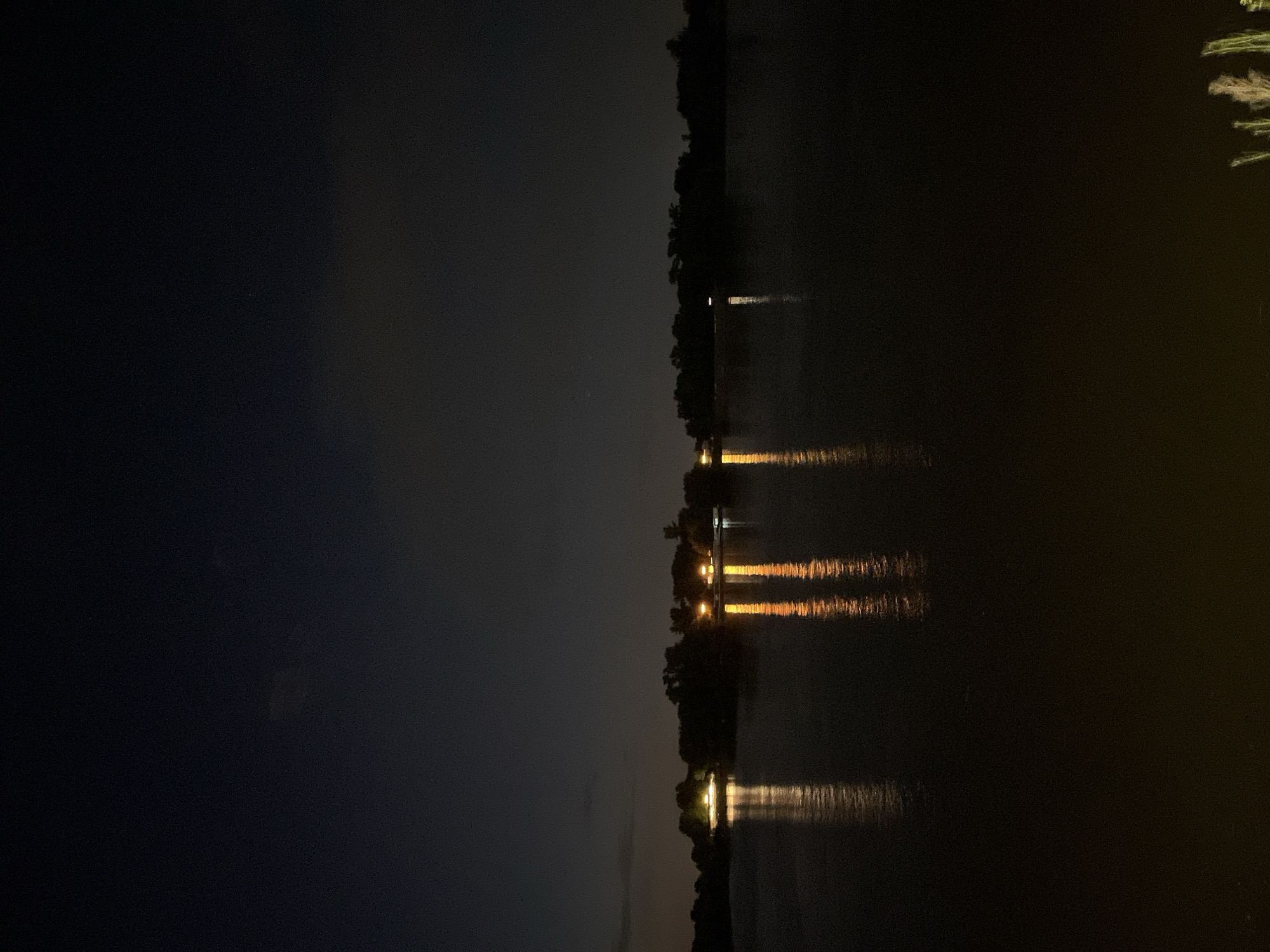 The image depicts a dark, nighttime scene over water, likely a river or lake. Reflected lights from structures or street lamps are visible on the water's surface. A line of trees or vegetation is silhouetted against the night sky on the far bank. Given the context of Belgrade, Serbia, the location is most likely the Sava or Danube river, with reflections of lights from buildings or bridges along the riverbank. No people are visible. The environment suggests a calm, dark evening.