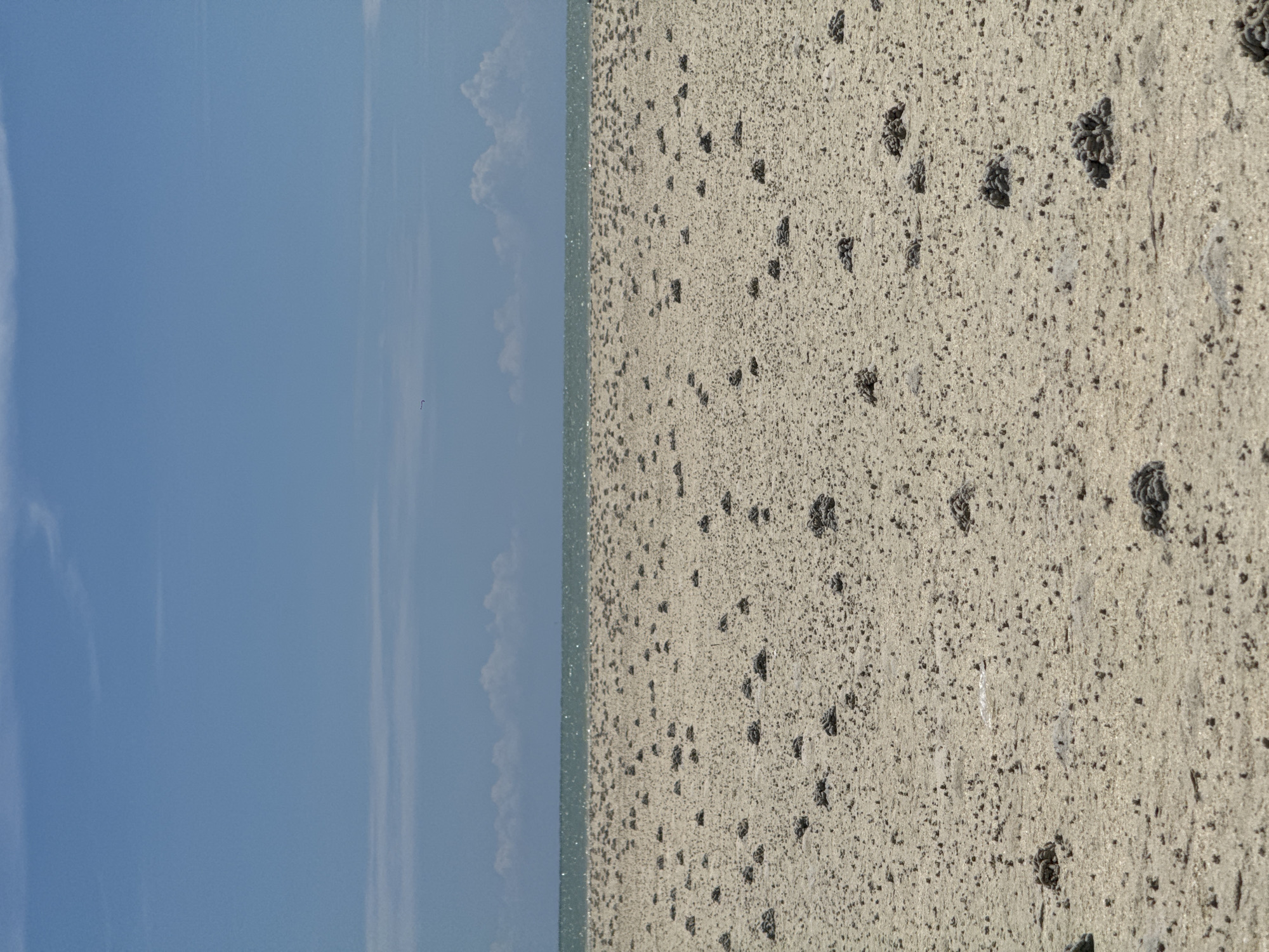 The image depicts a sandy beach with numerous small, dark mounds scattered across its surface, suggesting the presence of animal burrows or debris. In the distance, a body of water, likely the sea, is visible under a bright blue sky with a few wispy clouds. The overall scene is serene and appears to be an outdoor, natural environment. The location is stated to be in Koh Phangan, Thailand.