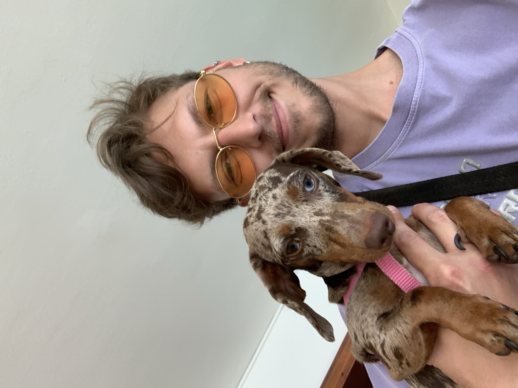 A man with brown hair and a beard is holding a dapple dachshund puppy. The man is wearing orange sunglasses and a lavender t-shirt. He has piercings in his ear. The dog has one blue eye and one brown eye, and it is wearing a pink collar. The background is a light gray wall. The location in the city of Tel-Aviv, Israel cannot be determined from this image.