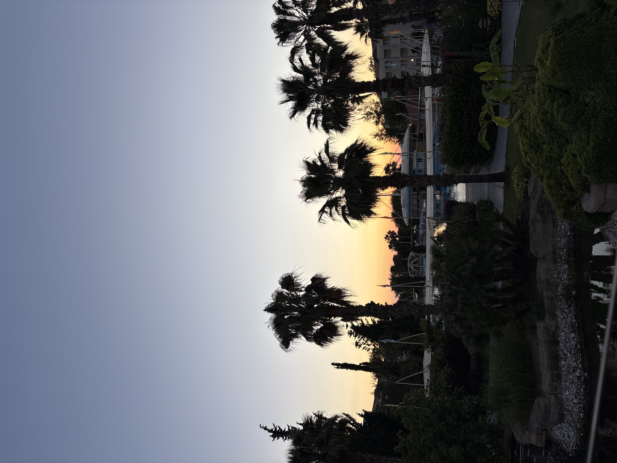This image depicts a serene sunset or dusk scene at a resort in Selçuk, Turkey. The sky, transitioning from a clear, light blue at the top to a warm orange and yellow gradient at the horizon, dominates the upper portion of the frame.
Several large palm trees are prominently silhouetted against the colorful sky, their dark, detailed fronds creating striking shapes. Below the palm trees, a rich, dark green landscape unfolds, comprising various shrubs, bushes, and other trees. Closer inspection reveals specific plant types such as banana plants and manicured hedges within the verdant scenery.
In the background, partially obscured by the foliage, structures consistent with a resort or hotel complex are visible. These include white buildings, awnings, and various poles adorned with flags or banners, hinting at a vibrant international setting. Towards the lower right, a calm body of water, likely a swimming pool or decorative pond, reflects the soft evening light. Its edge is intricately designed with natural rocks and a collection of small, light-colored pebbles. A paved pathway can also be seen winding through the landscaped grounds.
The scene is tranquil and appears to be free of people, emphasizing the peaceful and relaxing atmosphere. Faint text on a sign in the background includes "Ice Cream," suggesting available amenities. The overall impression is one of an idyllic evening at a well-maintained, lush resort destination.