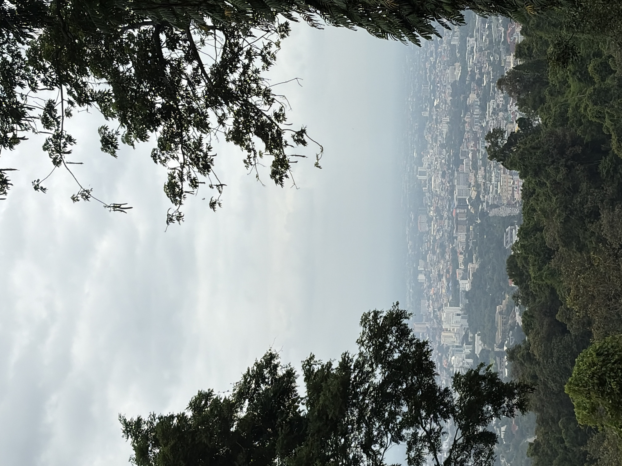 The image captures a panoramic view of a city nestled amidst lush green hills, as seen from a higher vantage point. The sky is overcast with a thick layer of clouds, giving the scene a subdued, muted light. In the foreground, two large trees frame the view, their dark green foliage silhouetted against the lighter sky. The tree on the left is closer and appears to be a large, mature tree with dense leaves. The tree on the right is partially obscured, with some of its leaves and branches extending into the frame from the right edge.
Below the trees, the city of Suthep Town Municipality, Thailand, unfolds. It is a sprawling urban landscape characterized by a dense concentration of buildings, varying in height and architectural style. Many of the buildings are light-colored, suggesting residential or commercial structures. The city extends as far as the eye can see, gradually fading into the hazy distance. Interspersed within the urban fabric are patches of green, indicating parks or tree-lined streets. The surrounding hills are densely covered with a variety of trees, creating a natural border around the city. The overall impression is one of a vibrant city coexisting with a rich natural environment. There are no people or discernible actions visible in the image. The focus is on the landscape and the urban expanse.