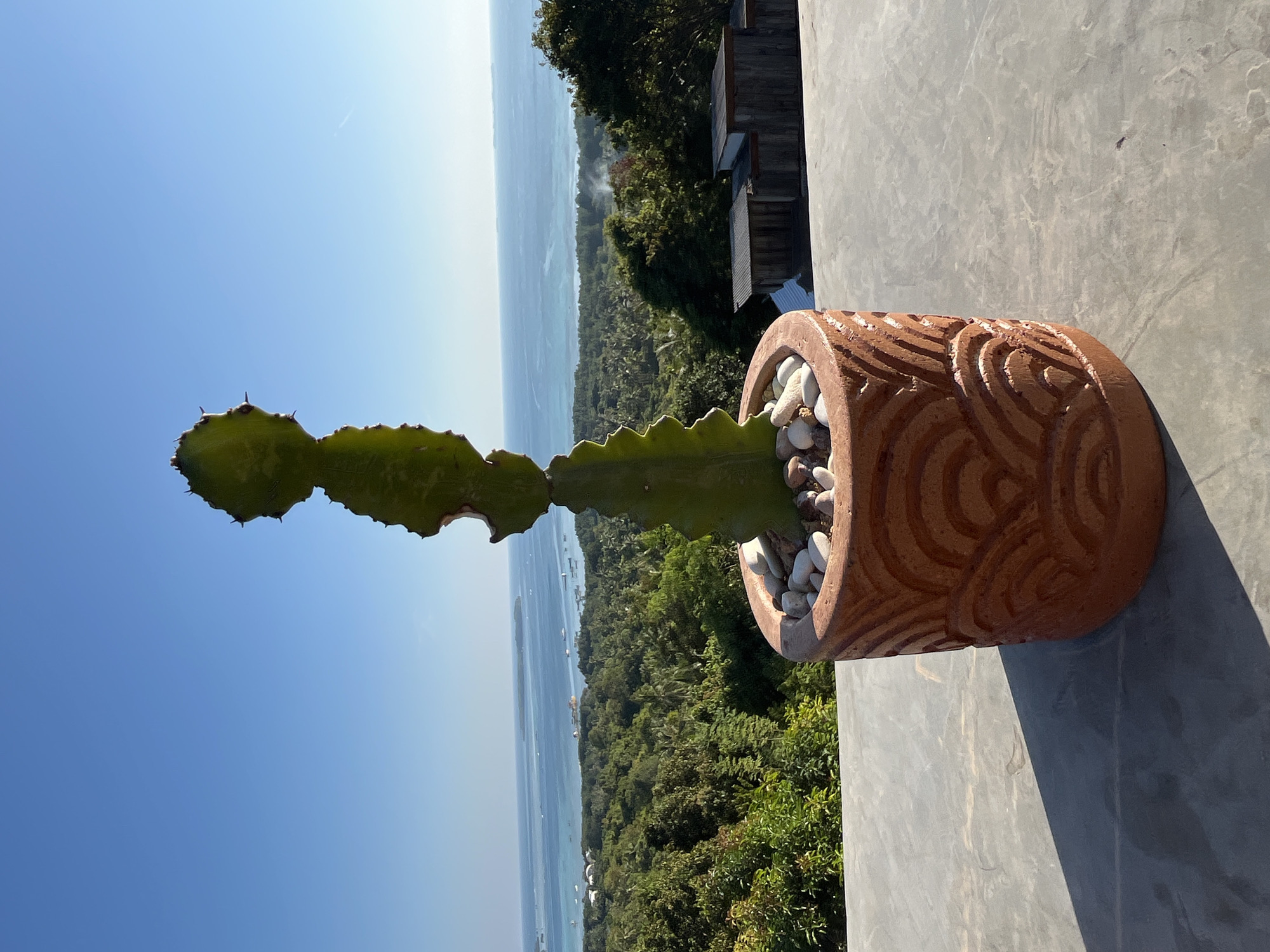 A tall, green cactus stands in a decorative terracotta pot on a concrete surface. The pot has an embossed wave pattern. The cactus has visible spines and is topped with a smaller section. The background shows a lush, green landscape with scattered buildings and the blue ocean under a clear sky. The scene appears to be from a vantage point overlooking the coast of Karimunjawa, Indonesia.