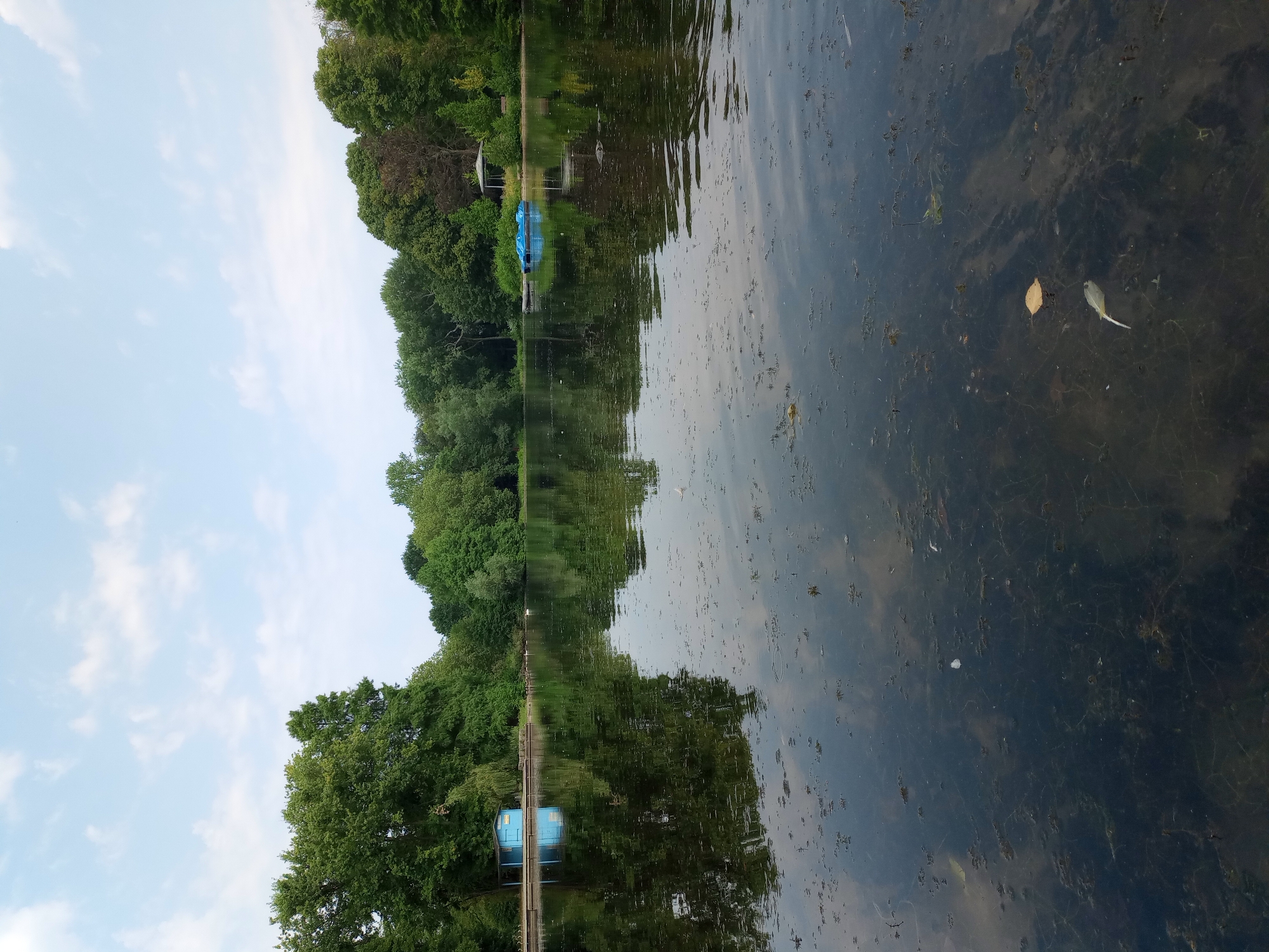 A wide-angle, low-angle shot depicts a serene lake surrounded by lush green trees under a partially cloudy blue sky. In the foreground, the dark, reflective water is slightly disturbed by ripples and dotted with floating debris and a few fallen leaves. A bright blue, small building with a white trim stands on the left bank of the lake, with its reflection visible in the water. Further along the bank, several blue paddle boats are moored to a wooden dock. In the background, a dense line of trees forms a verdant backdrop, with a small gazebo-like structure visible among them. The scene appears to be in the Westfalenpark in Dortmund, Germany, a popular urban park known for its lakes and gardens. There are no people visible in the image.