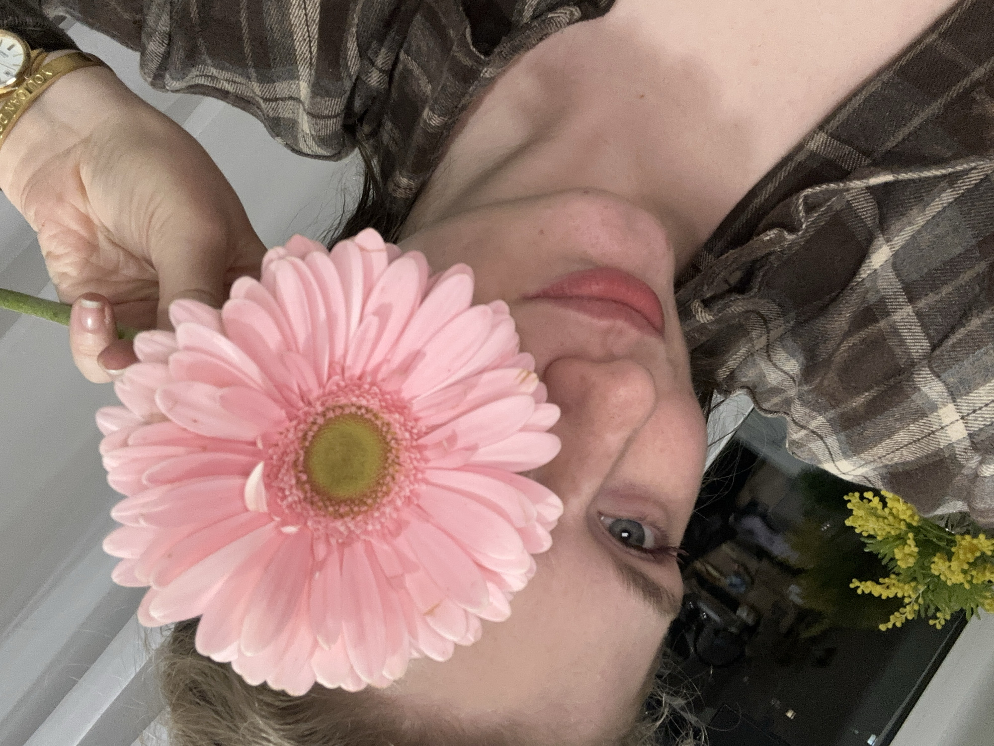 A female individual is depicted in an indoor setting. Her right hand, featuring a gold-colored wrist watch with a white face and a band inscribed "YOU CAN DO IT," holds a large pink gerbera daisy by its green stem. The flower, possessing a distinct yellow-green center, is positioned to obscure the upper left portion of the individual's face, including her left eye and forehead. Her visible right eye is blue, and her lips are pink. She wears a dark brown and beige plaid shirt. In the background, light-colored horizontal blinds are visible above her head. To the lower left, a dark, reflective surface, consistent with a window, shows reflections of interior light sources, and a small arrangement of yellow mimosa-like flowers is partially visible. The specific location within Kazan, Russia, cannot be determined from the visual evidence presented in the image.