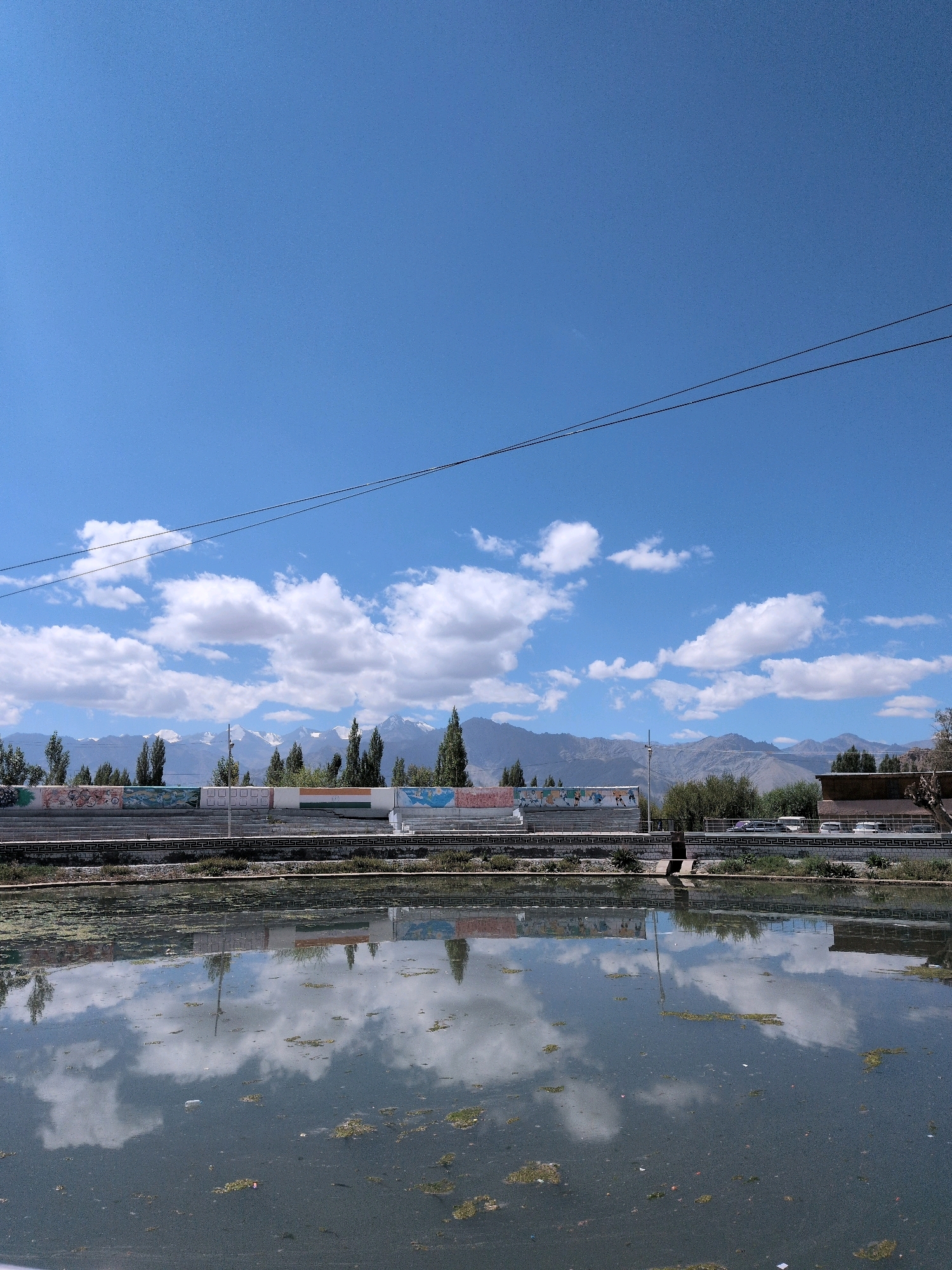 The image depicts a serene natural landscape with a reflection of the sky and surroundings in a body of water. The sky is a clear, vibrant blue, dotted with fluffy white clouds. In the distance, a range of majestic mountains, some capped with snow, forms a picturesque backdrop. The mountains are adorned with a line of tall, slender trees, adding to the scenic beauty. Below the mountains, a colorful mural runs along a wall, adding a touch of human artistry to the natural setting. Several vehicles are parked along the road behind the wall, indicating a nearby town or settlement. The foreground features a body of water, its surface reflecting the sky, clouds, trees, and the mural, creating a mirror-like effect. The water itself appears somewhat murky and contains patches of green aquatic vegetation, along with some scattered debris. This scene is likely located in the city of Leh, India, a region known for its breathtaking mountain vistas and unique cultural landscapes.