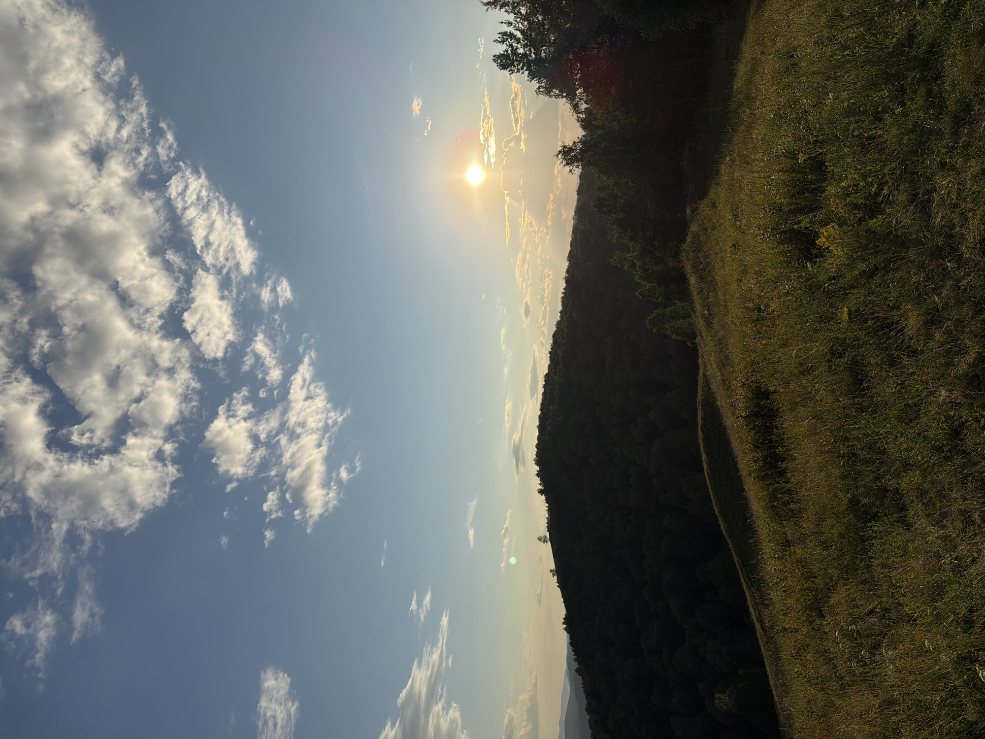 This is a vertical, eye-level shot of a landscape at sunset. The sun is visible on the right side of the frame, low in the sky, casting a warm glow. It is partially obscured by clouds. The sky is a gradient of blue and yellow, with scattered white clouds. In the foreground, a grassy hill is illuminated by the setting sun, with tall grasses and some wildflowers. In the middle ground, a dark, tree-covered hill slopes upwards. In the distance, rolling hills are silhouetted against the sky. The image appears to be of a natural landscape, possibly in the outskirts of Krasnoyarsk, Russia, known for its mountainous terrain and forests. There are no people or animals visible in the frame.