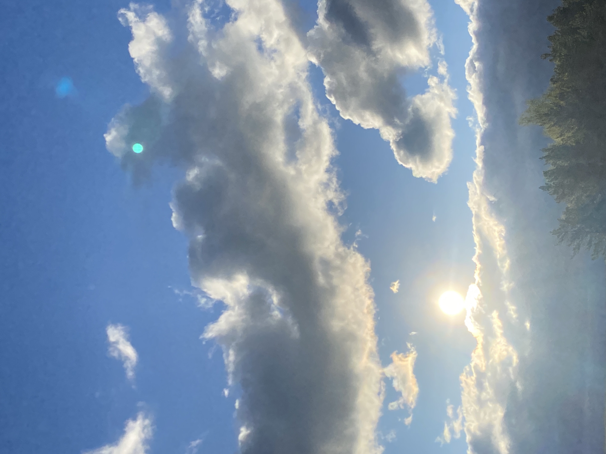 The image shows a partly cloudy blue sky. The sun is visible, partially obscured by clouds. A line of trees is seen in the upper right corner. The location is unknown and the image is rotated counter clockwise 90 degrees. There are no people, actions or interactions visible.