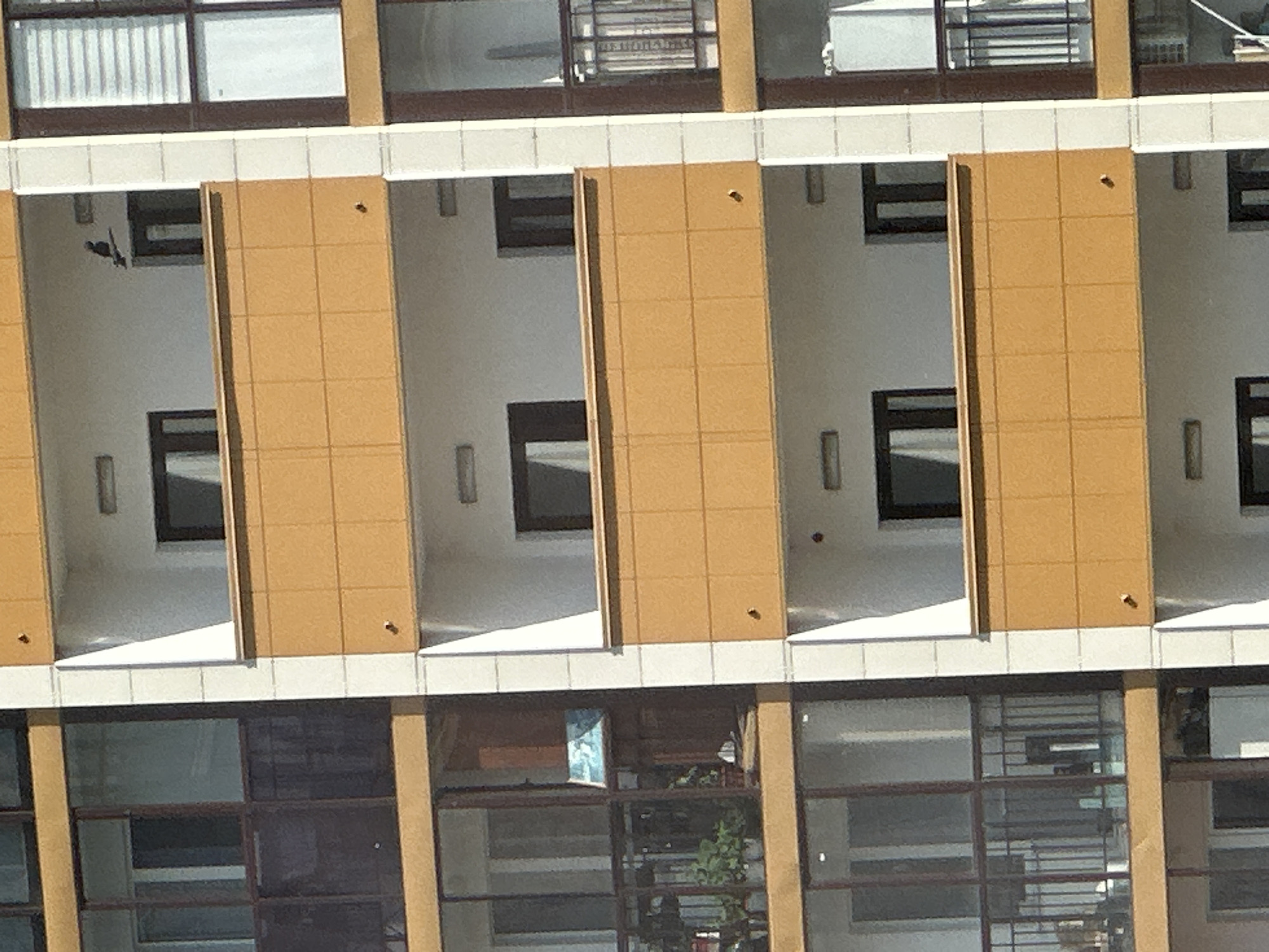 A pigeon is perched on the railing of a balcony on the exterior of a multi-story building. The building has a modern design with alternating sections of glass and orange tiled facade. The pigeon appears to be a dark color, possibly black or dark grey, and is facing to the left. It is located on the third balcony from the top, on the right side of the image. The surrounding environment suggests an urban setting.