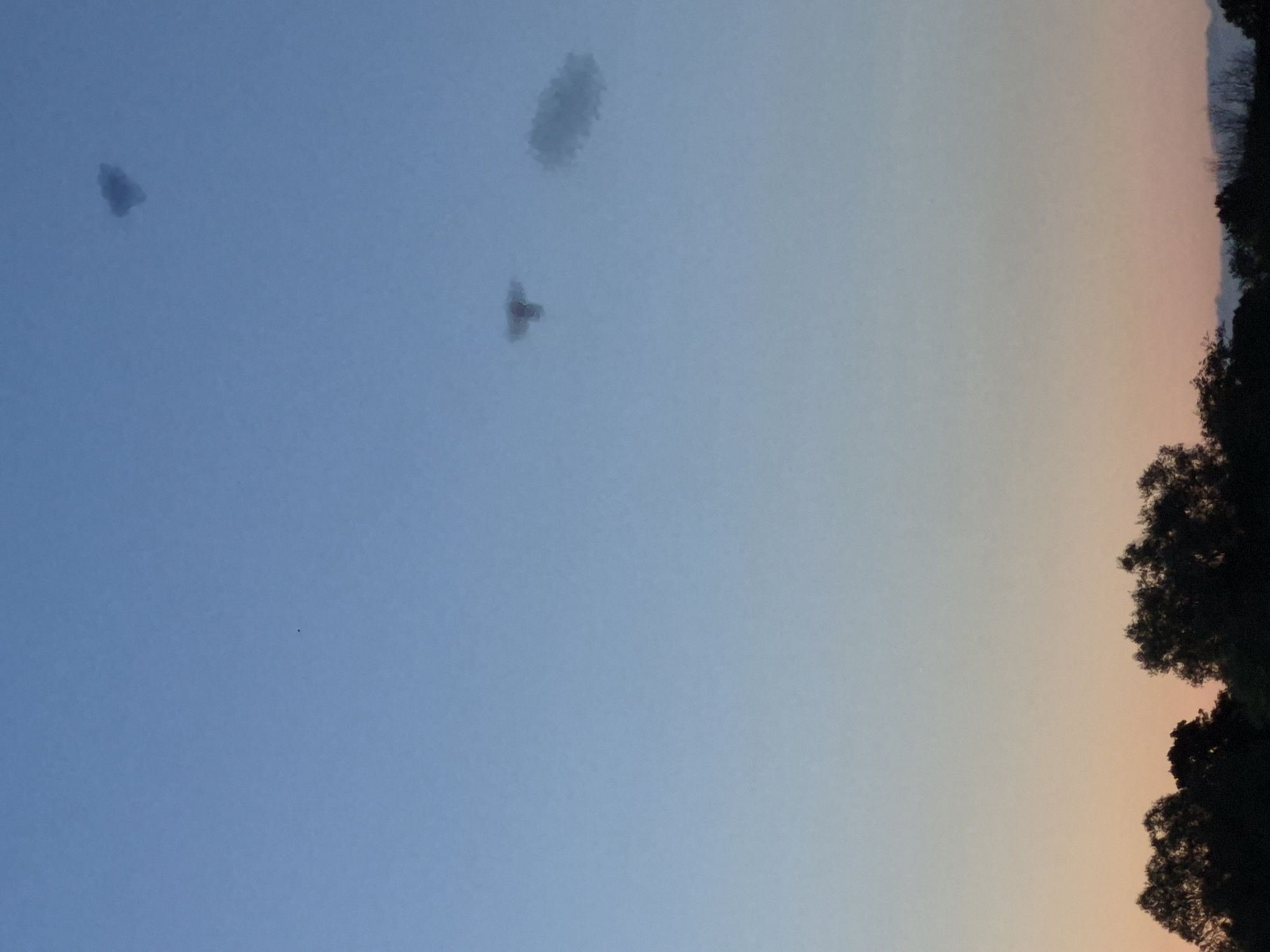 The image depicts a clear sky above a silhouetted tree line. The sky transitions from a pale orange and pink hue at the horizon to a light blue at the top. There are three indistinct dark smudges or spots in the sky. The bottom portion of the image shows the dark silhouettes of trees against the twilight sky. The scene is set in the city of Sooblase, Estonia.