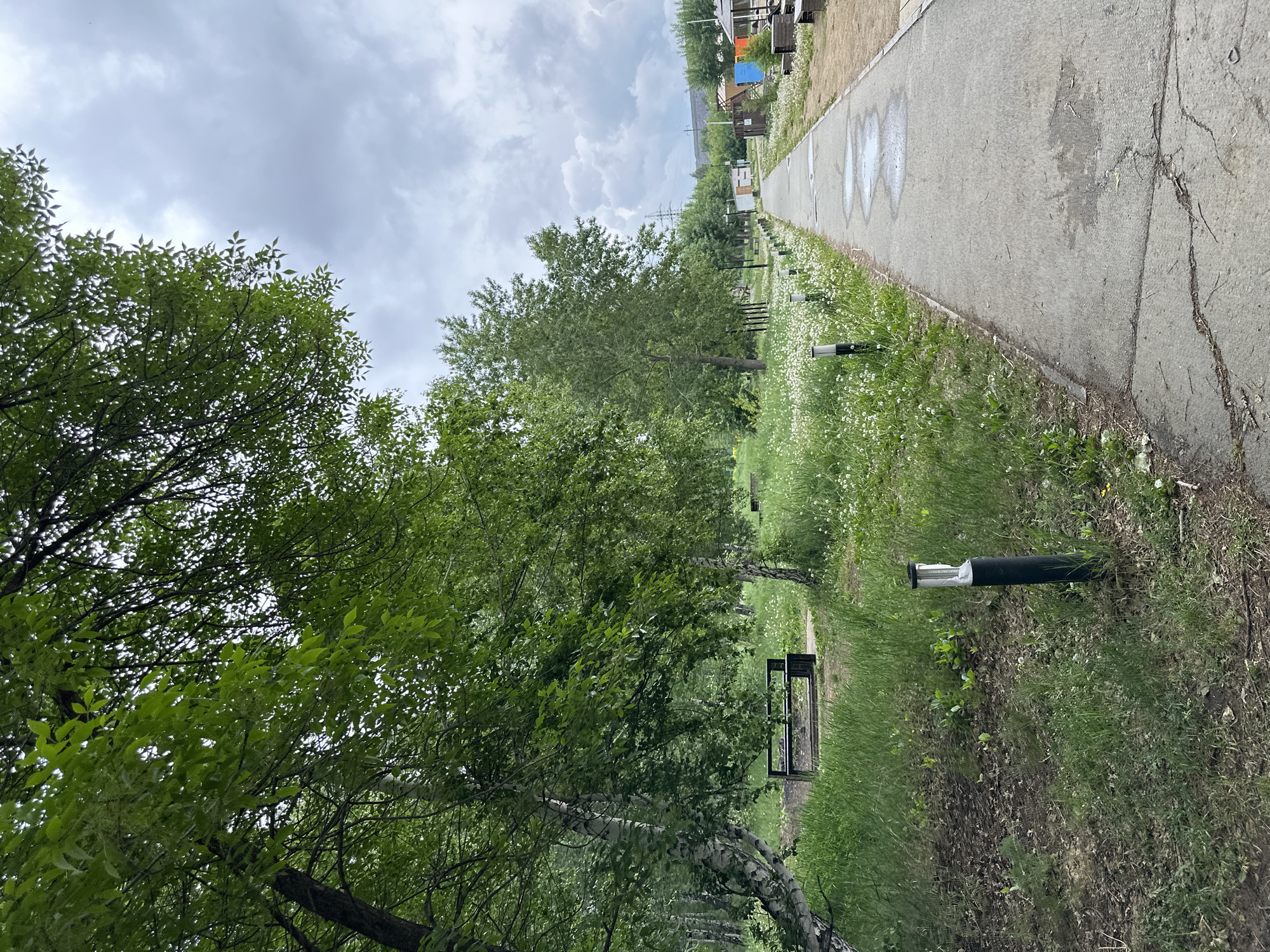 The image depicts an outdoor scene, likely a park or a walking trail, under an overcast sky. A grey paved path, possibly concrete or asphalt, extends from the foreground into the distance along the right side of the frame. The path shows signs of wear with cracks and features faint white markings, some resembling heart shapes.
To the left of the path, a lush green grassy area is dotted with numerous small white wildflowers, possibly dandelions. Several dark-colored, cylindrical bollards or lights with light tops are spaced along the edge of the path within the grass. Further left, numerous deciduous trees with vibrant green foliage and some lighter-colored bark (suggesting birch trees) create a natural canopy. Two dark-colored benches are partially visible further along the path, nestled among the trees and grass.
In the mid-ground and background, more trees, distant buildings or houses, and power lines with their poles are faintly discernible. The sky is entirely covered by a thick layer of grey clouds, indicating an overcast day. No people are present, lending a quiet and serene atmosphere to the scene.