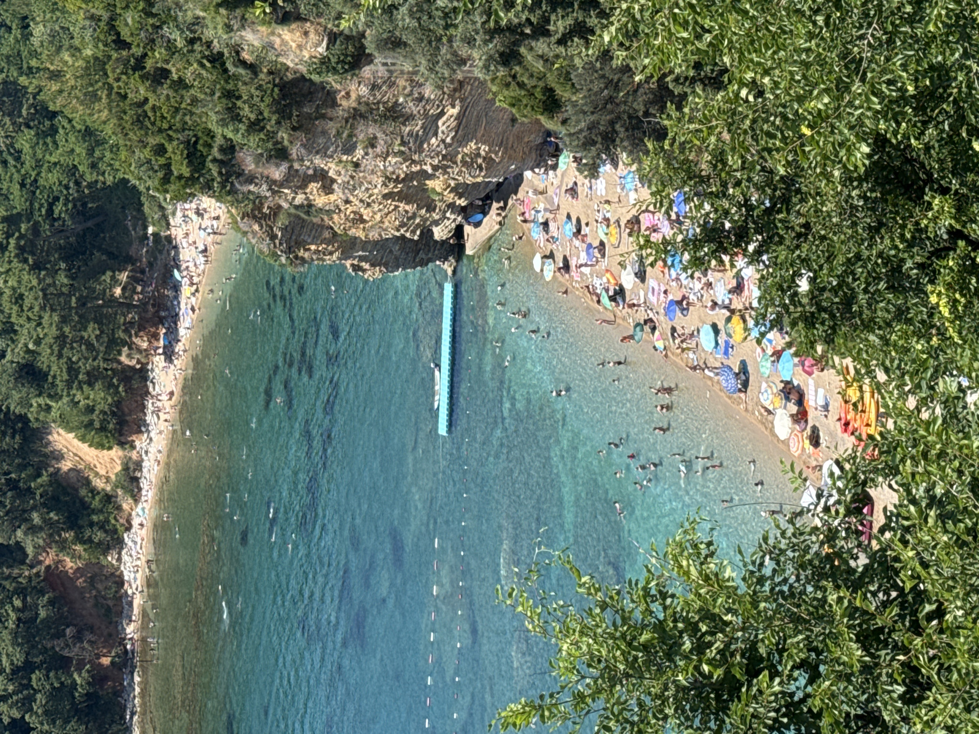 The image depicts a crowded beach scene in Budva, Montenegro. The beach is filled with people sunbathing on towels and under umbrellas, as well as swimming and playing in the clear turquoise water. A long, blue floating structure extends into the sea, likely a pier or a swimming platform. The beach is situated at the base of a rocky, tree-covered cliff. Lush green trees frame the top and right sides of the image, suggesting a warm, sunny day. The water is calm and inviting, with visible buoys marking a swimming area. People are scattered across the sandy shore, some lying down, others sitting or walking. Several colorful umbrellas are dotted amongst the sunbathers. The image conveys a lively and relaxing atmosphere of a popular summer beach destination. The time of day appears to be midday, with strong sunlight casting shadows. There is no visible text in the image.
